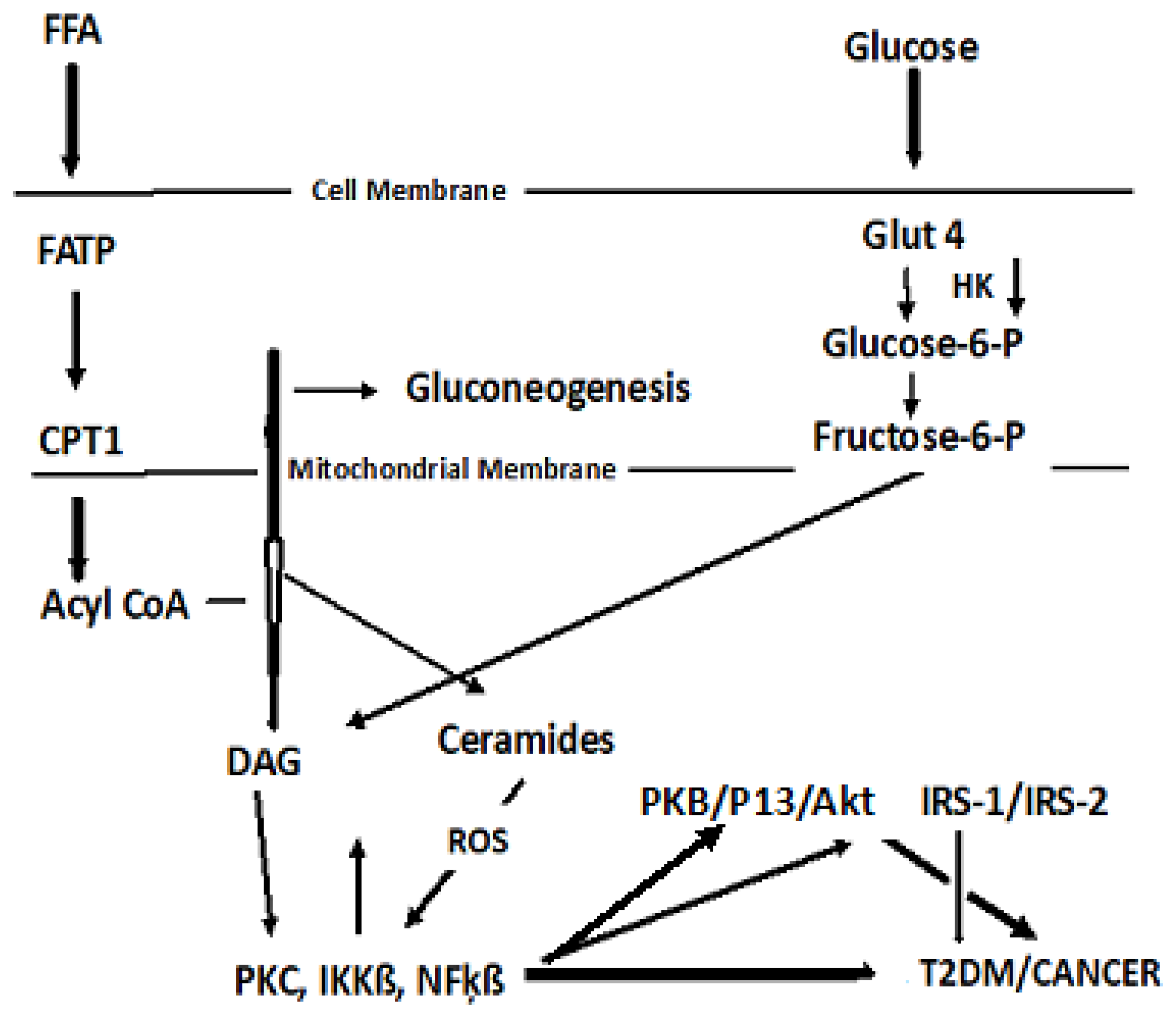 Preprints 76683 g009