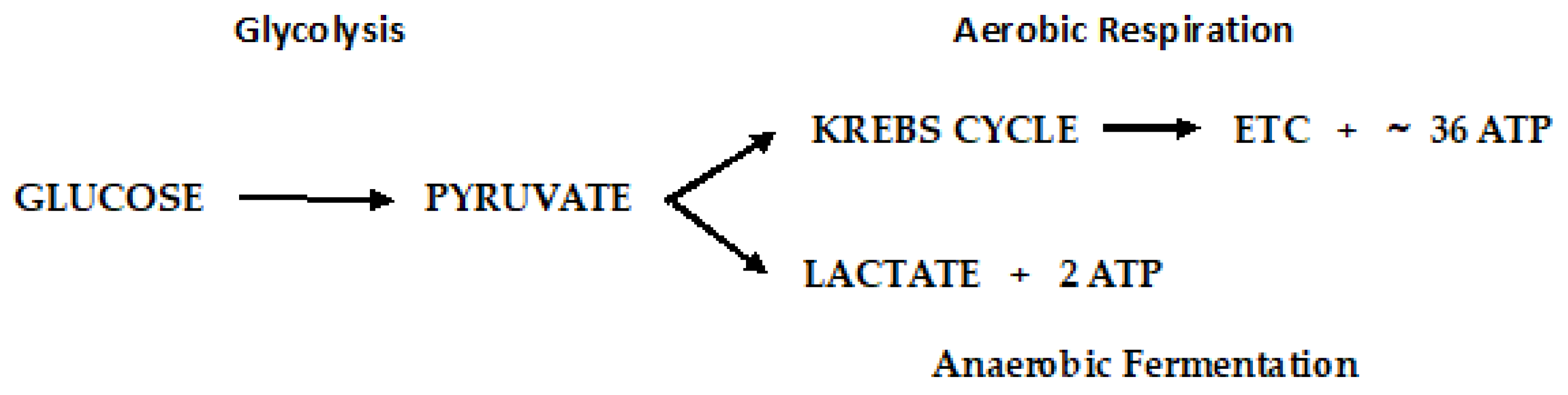 Preprints 76683 g011