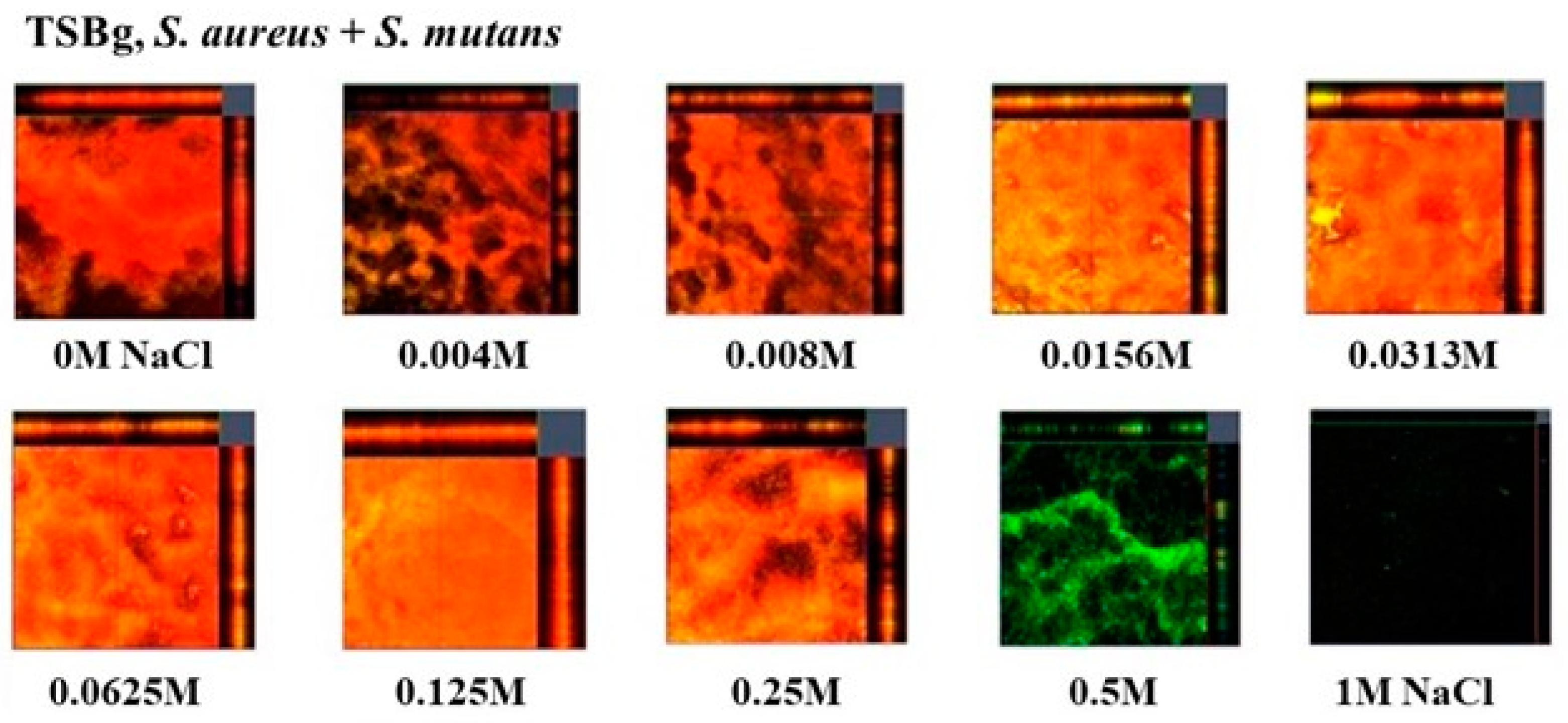 Preprints 118100 g004