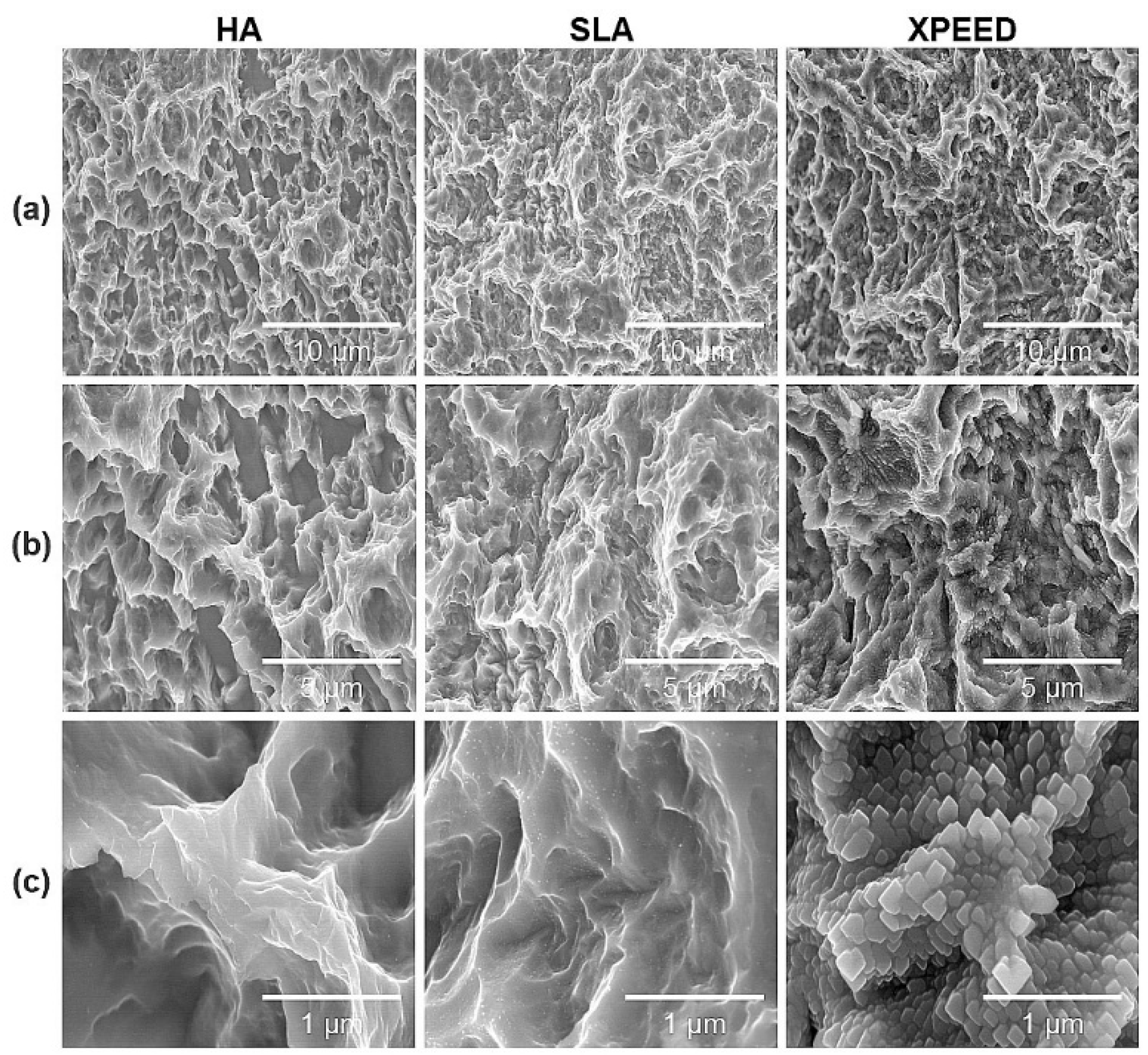 Preprints 106044 g001