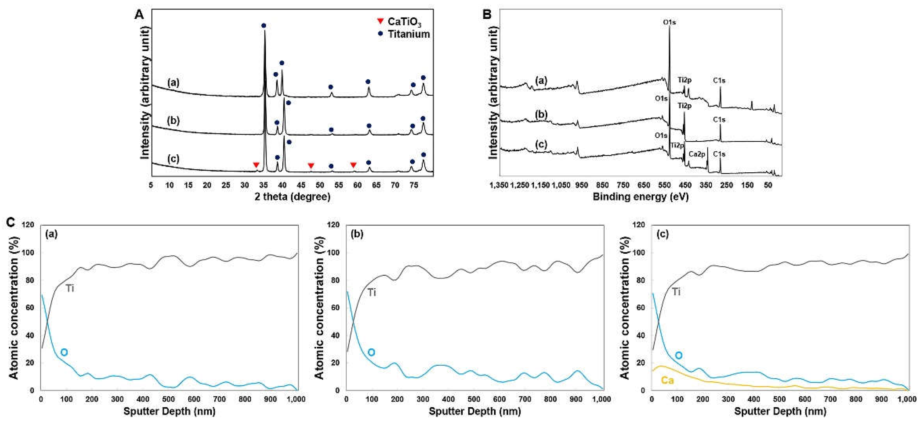 Preprints 106044 g002