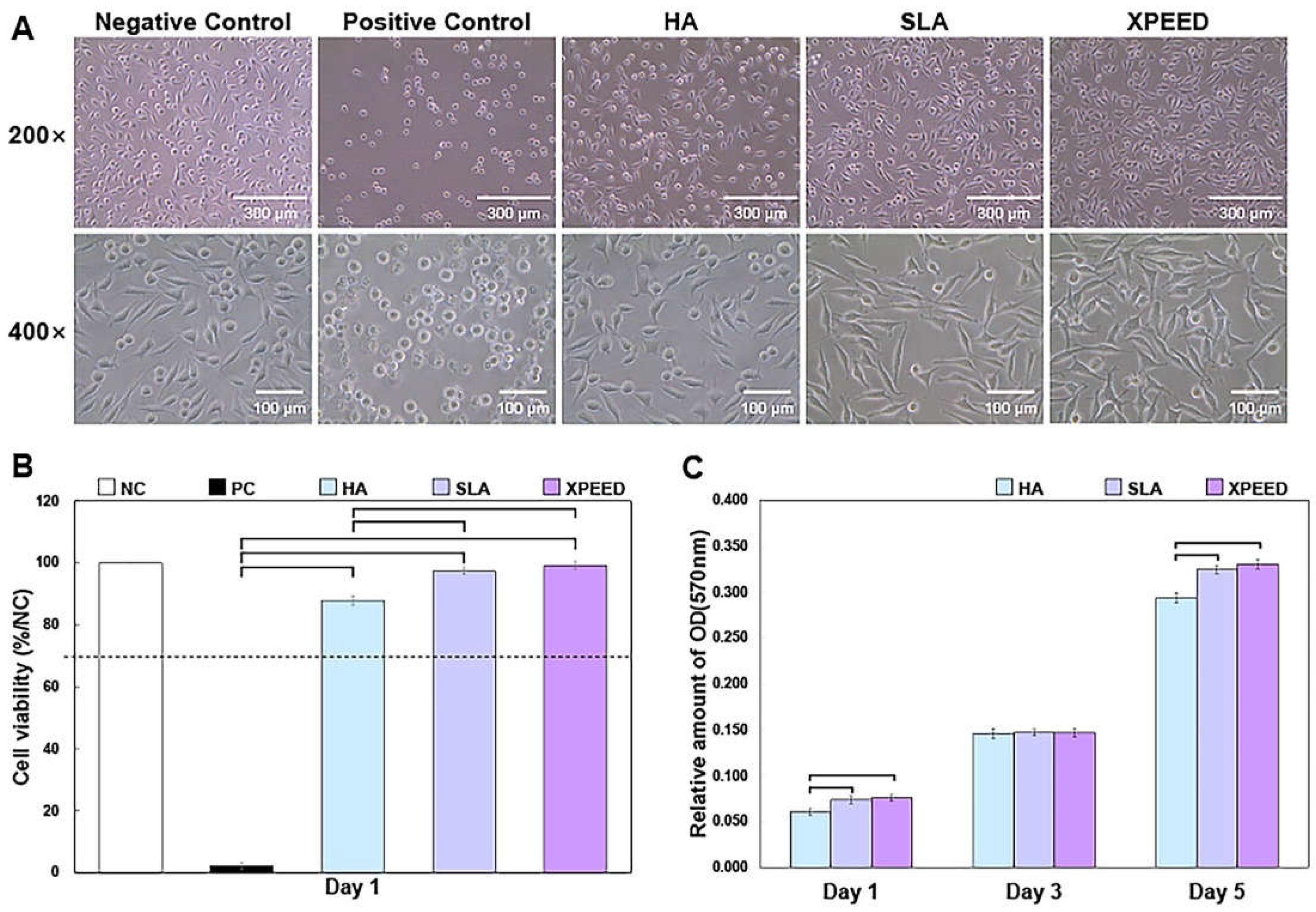 Preprints 106044 g004