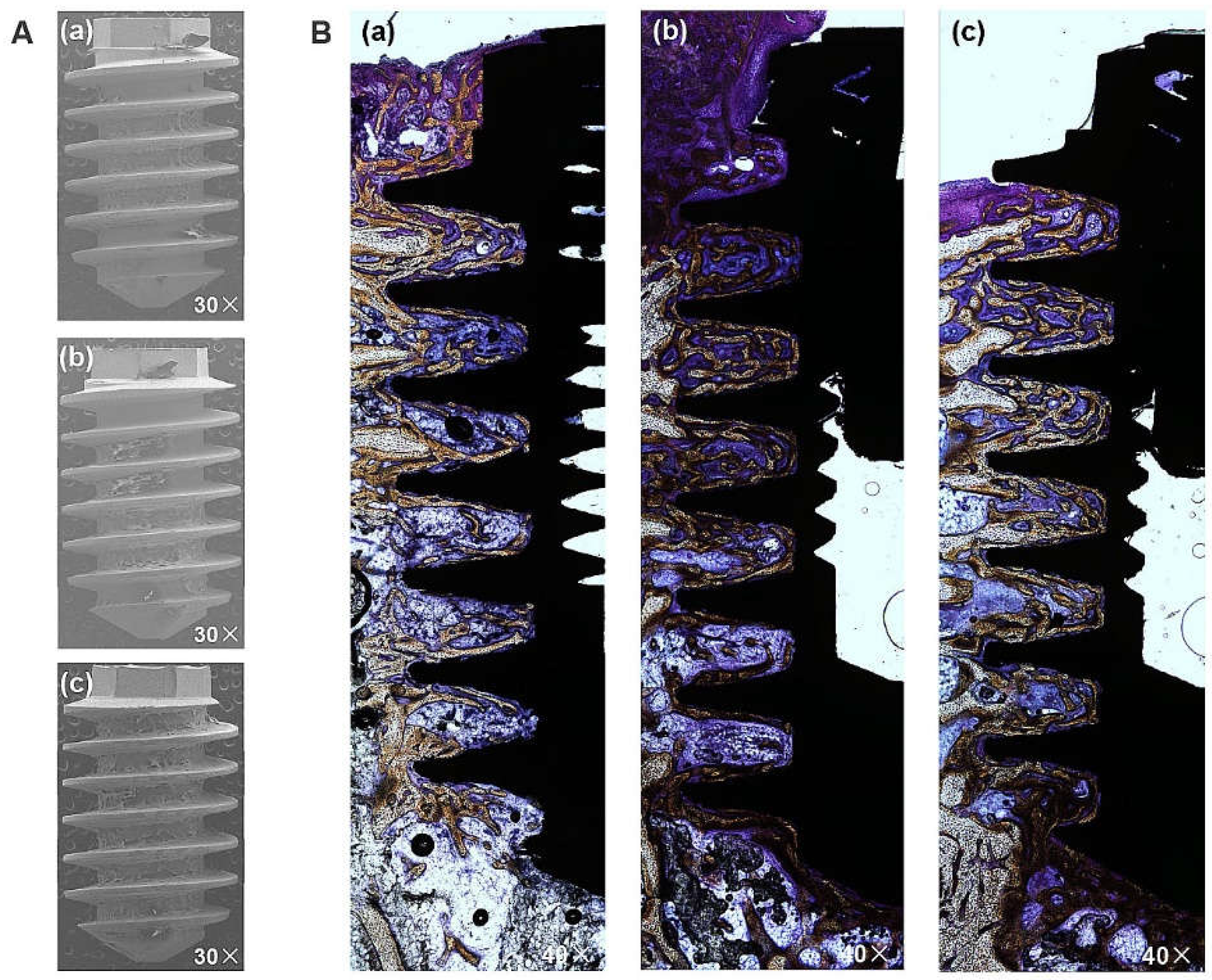 Preprints 106044 g008