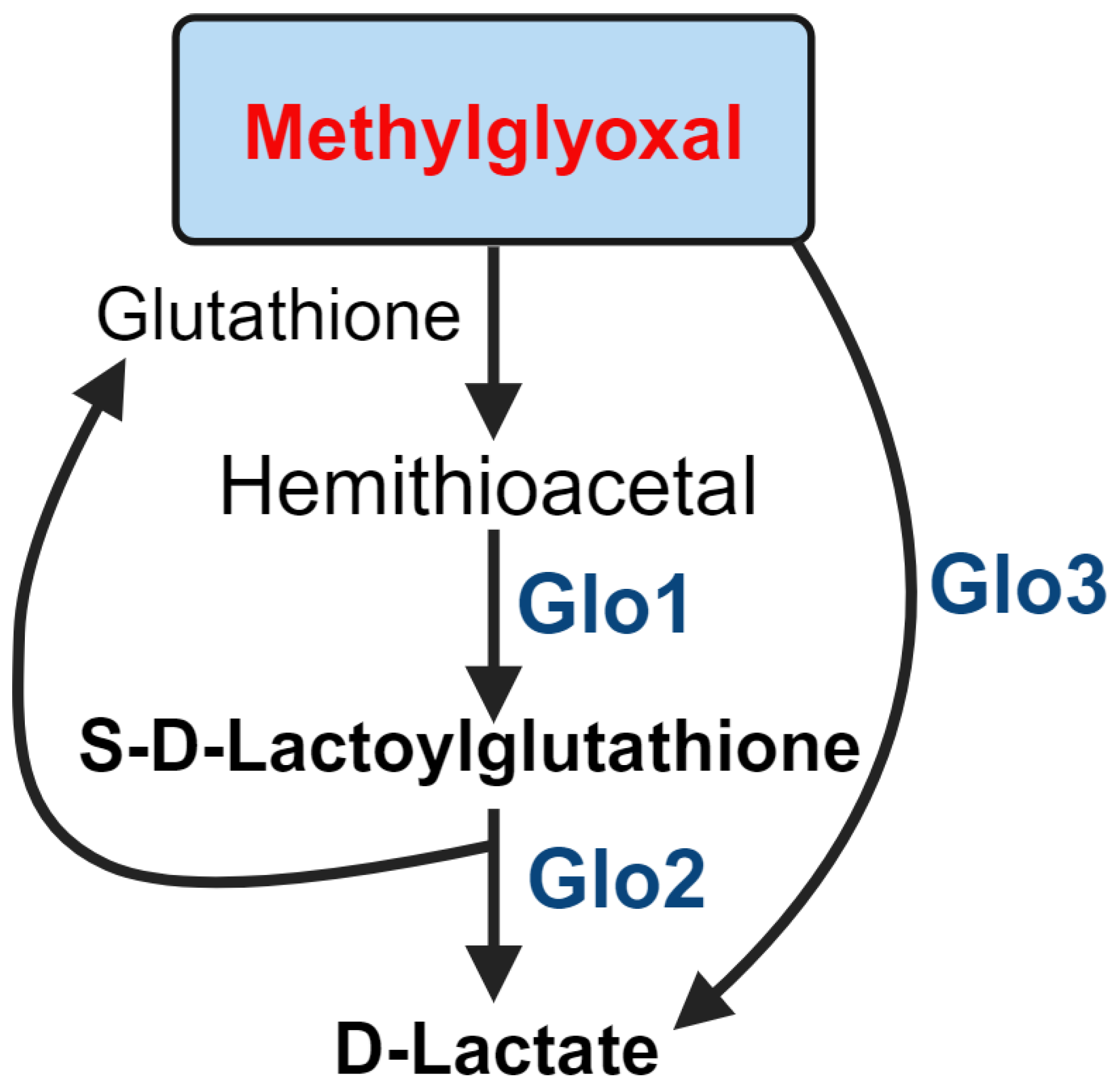 Preprints 120870 g004