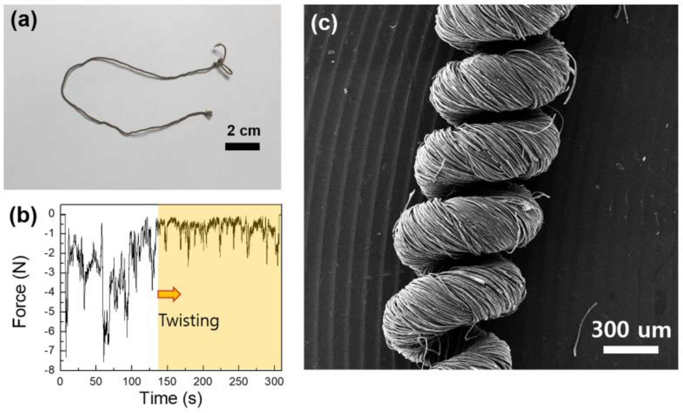 Preprints 107142 g005