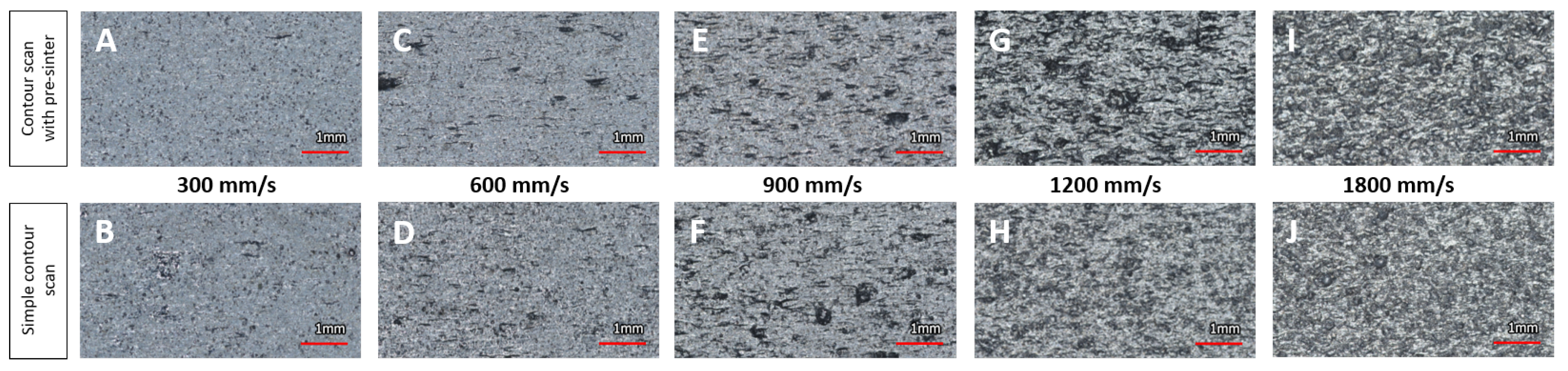 Preprints 69075 g005