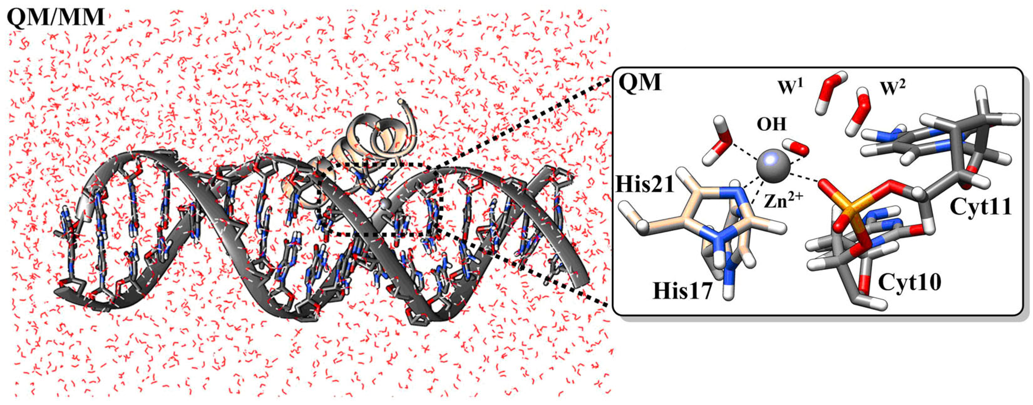 Preprints 67069 g002