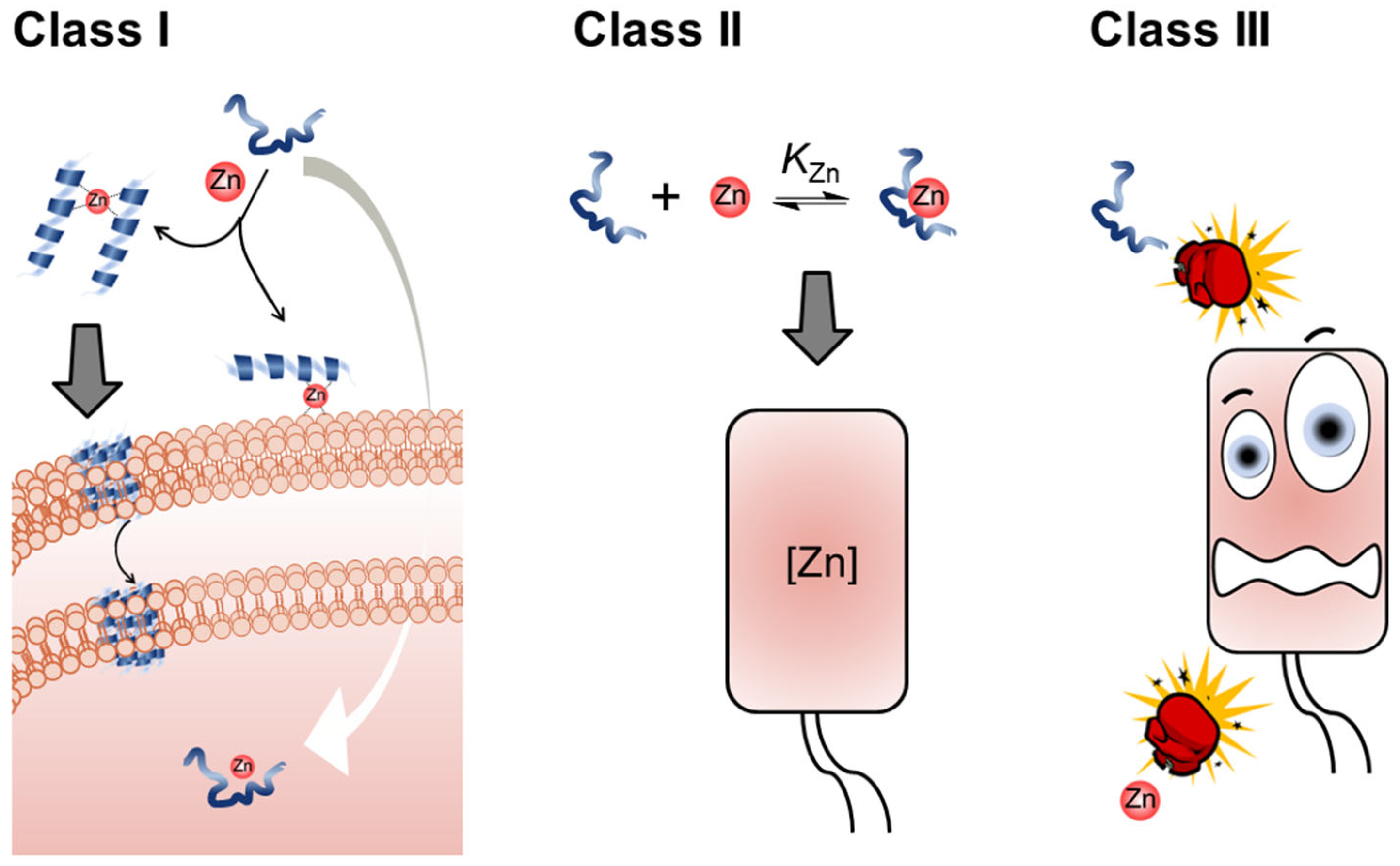 Preprints 67069 sch001