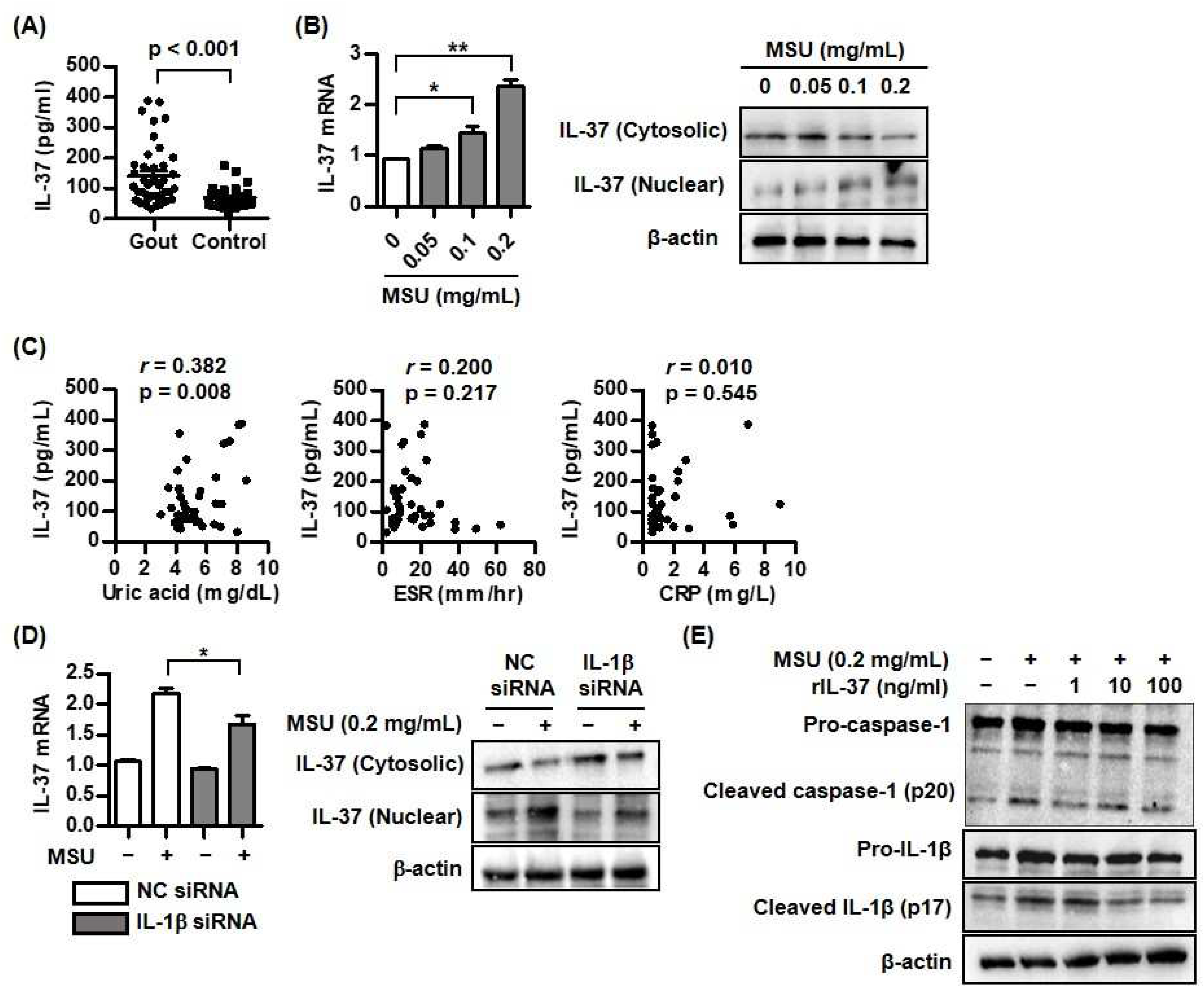 Preprints 96282 g001