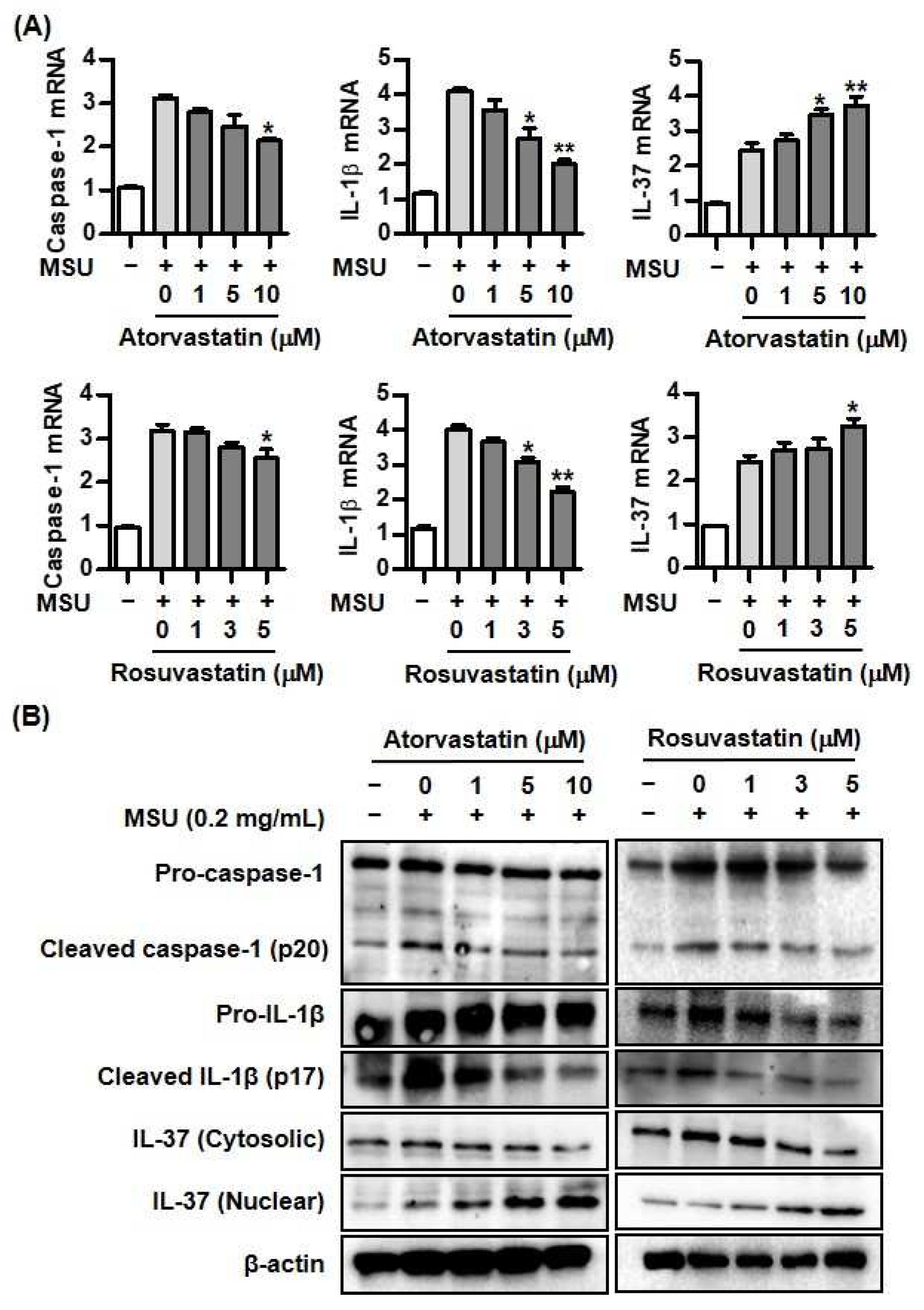 Preprints 96282 g002