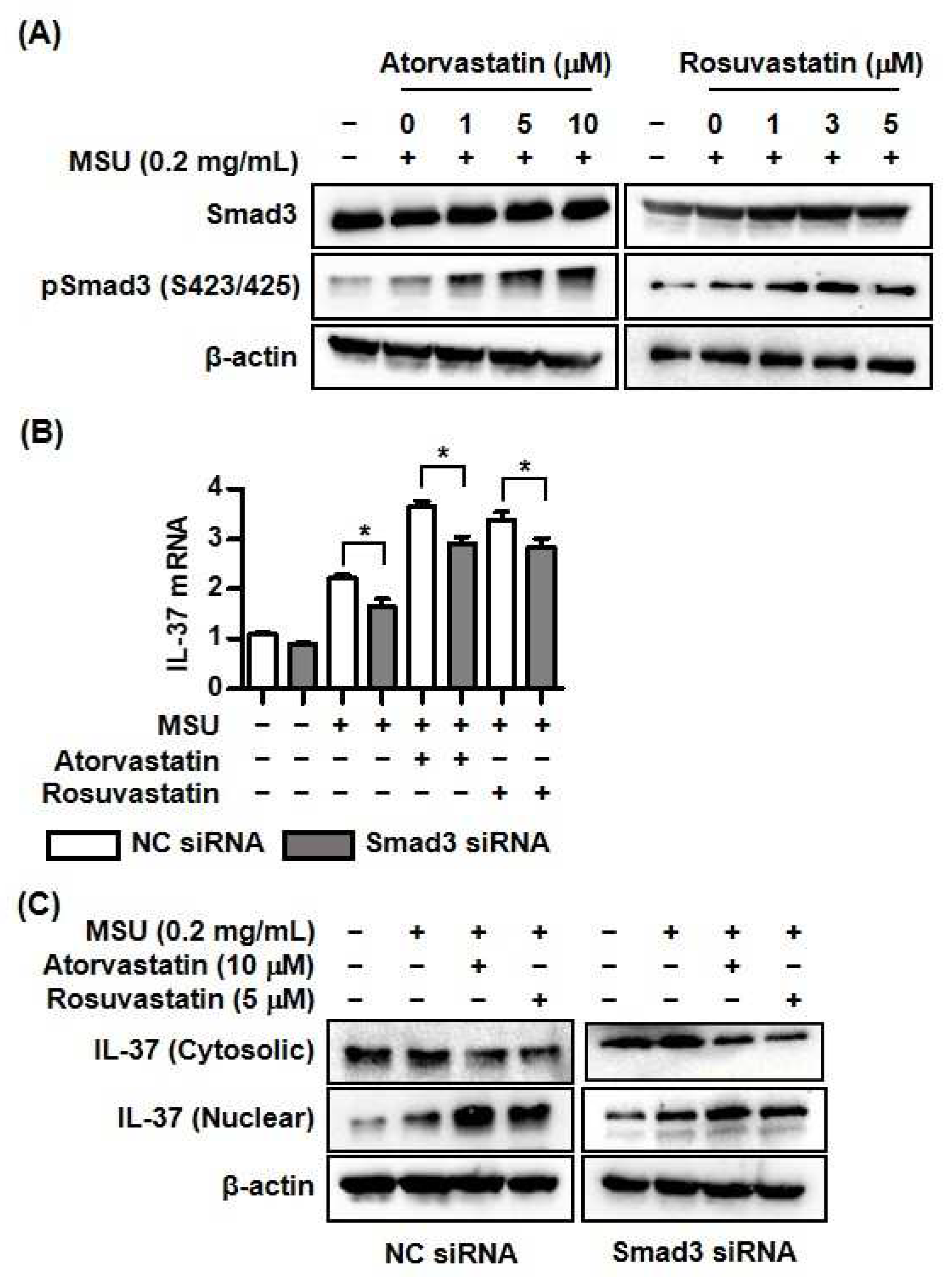 Preprints 96282 g003