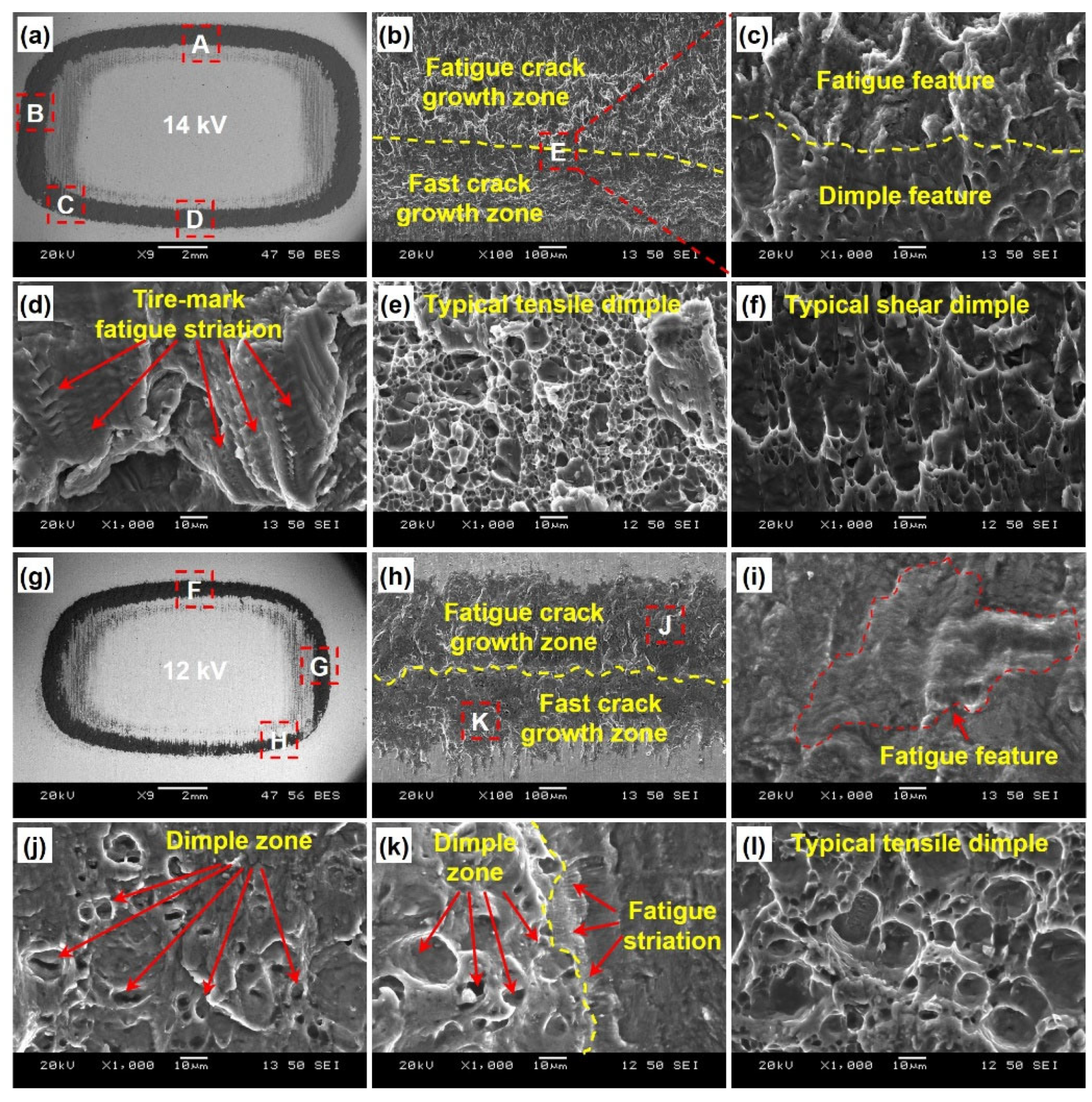 Preprints 98141 g004