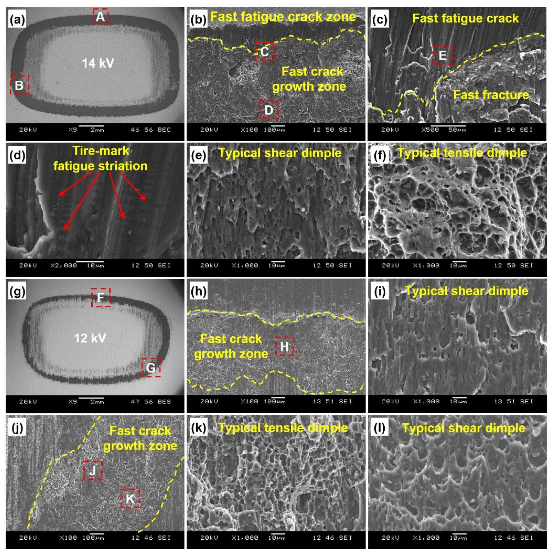 Preprints 98141 g005