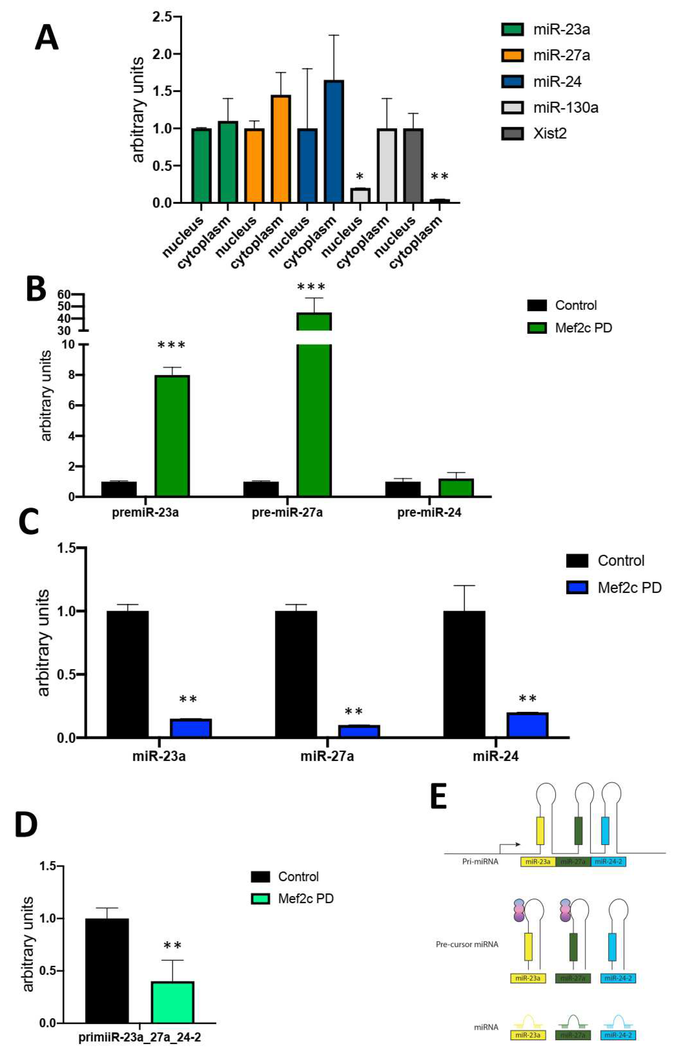 Preprints 86940 g001