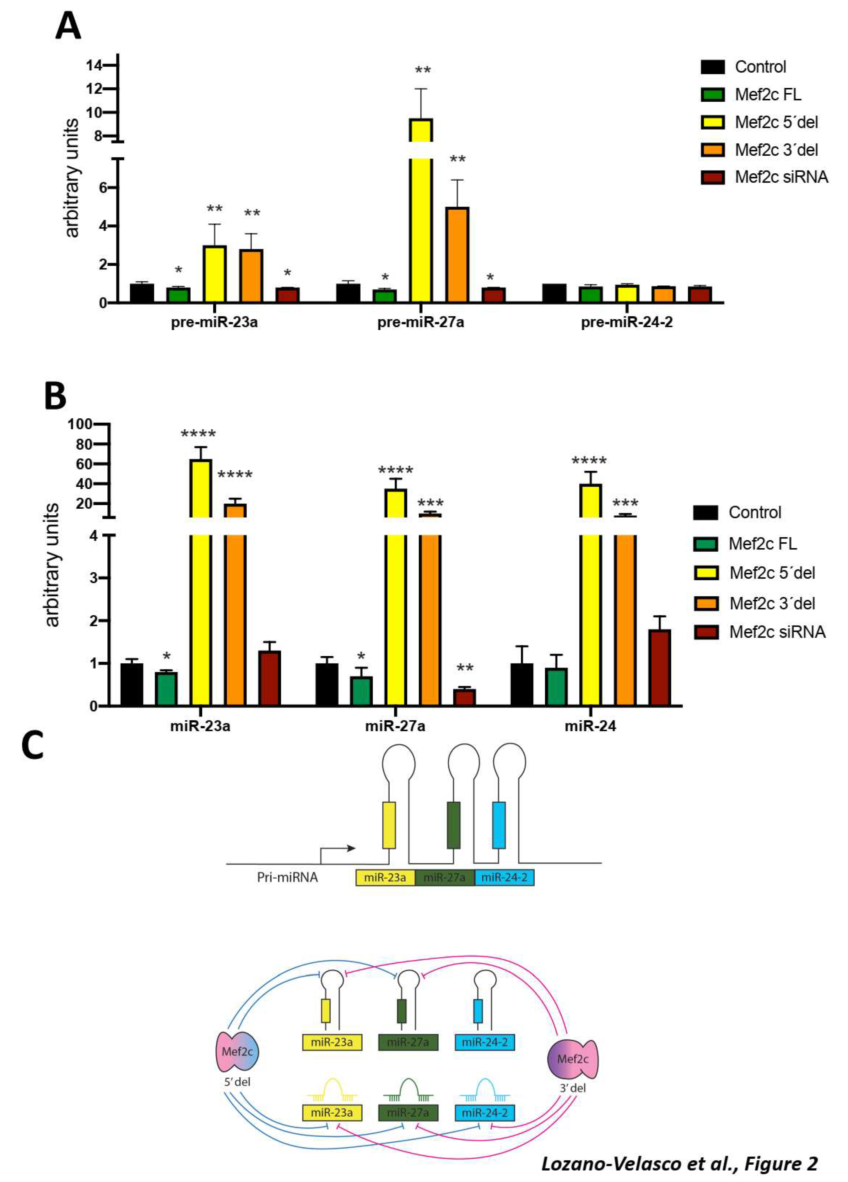 Preprints 86940 g002