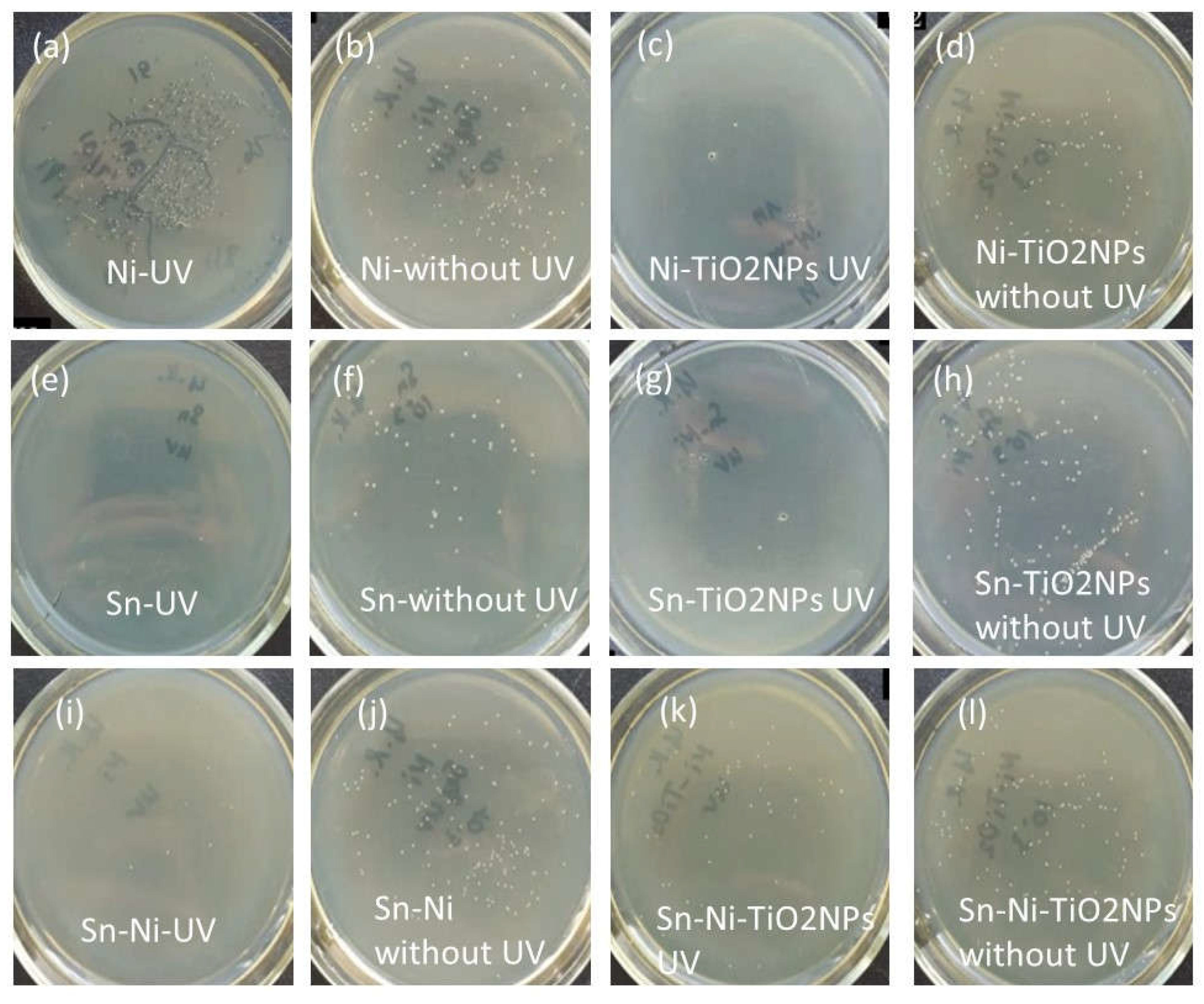 Preprints 117127 g020