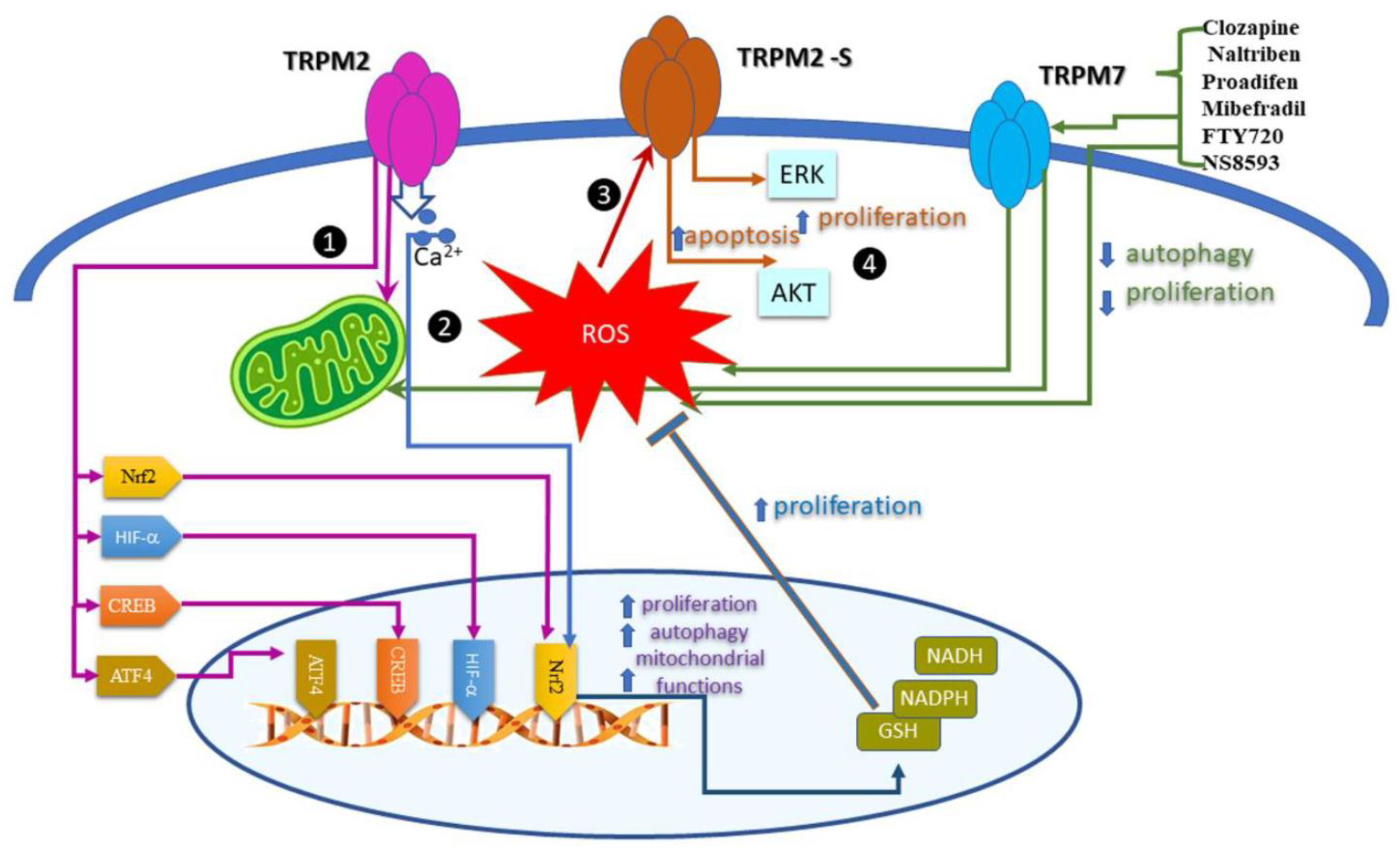 Preprints 74001 g002