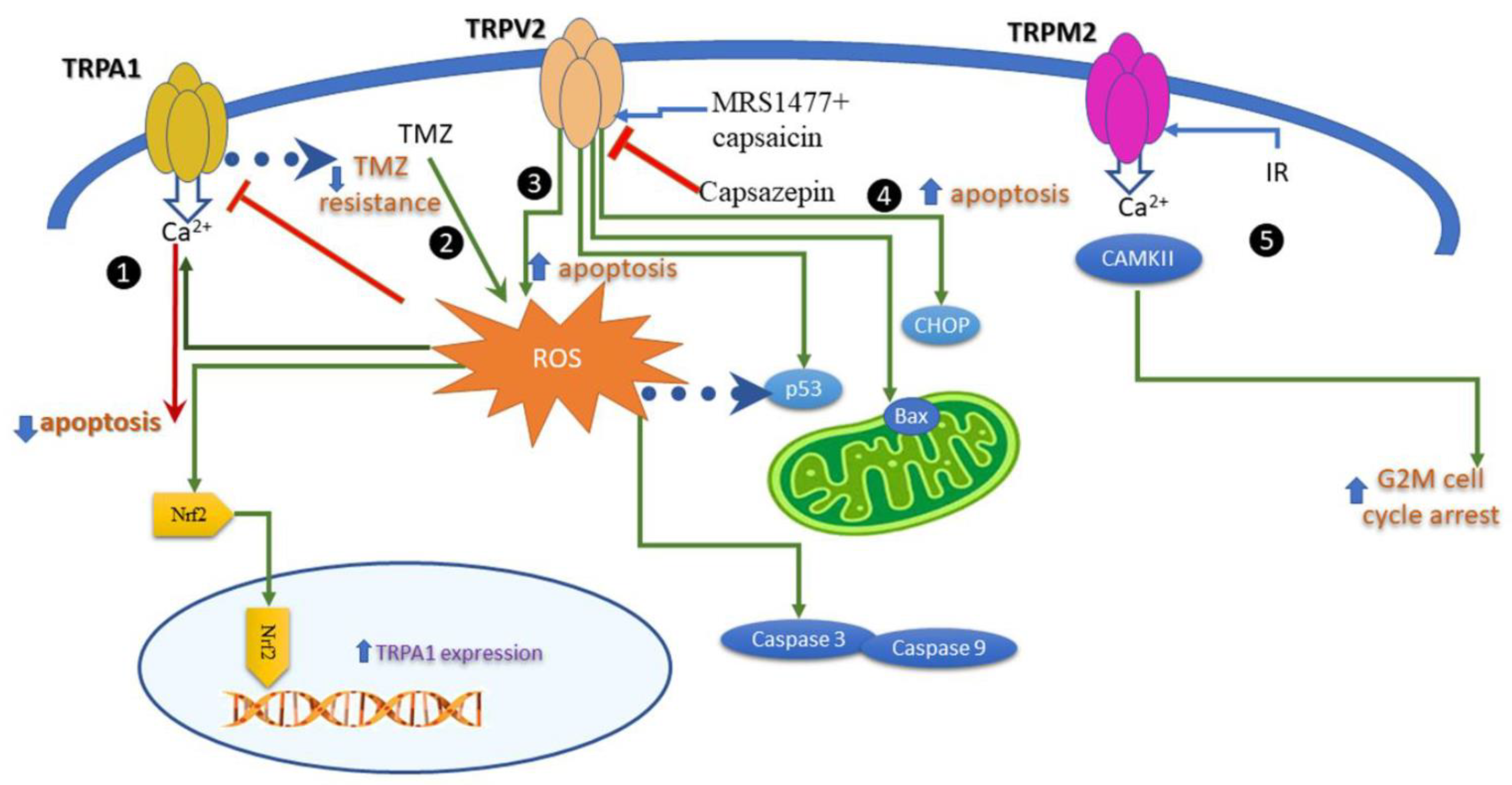 Preprints 74001 g003