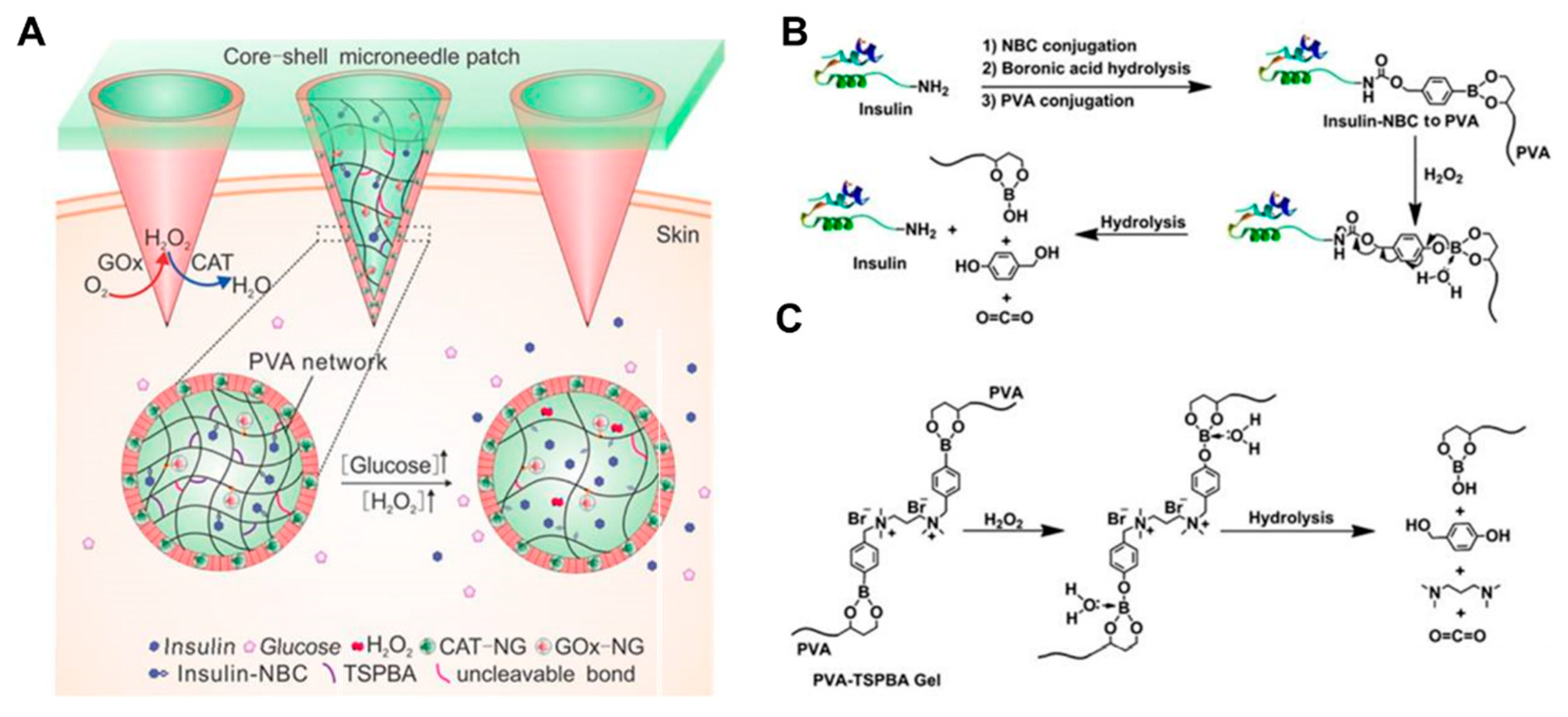 Preprints 75540 g004