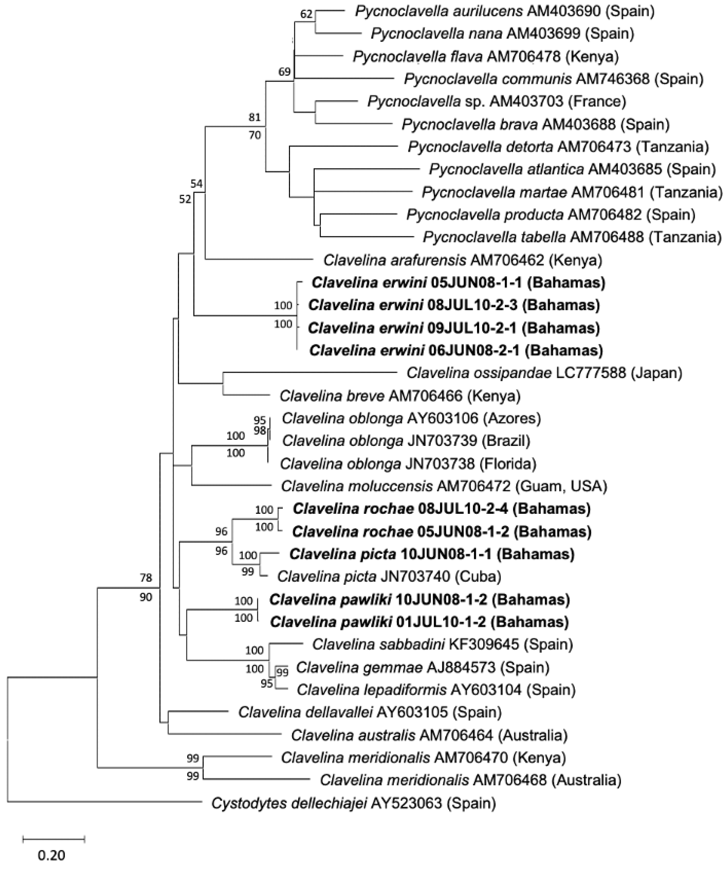 Preprints 114297 g008