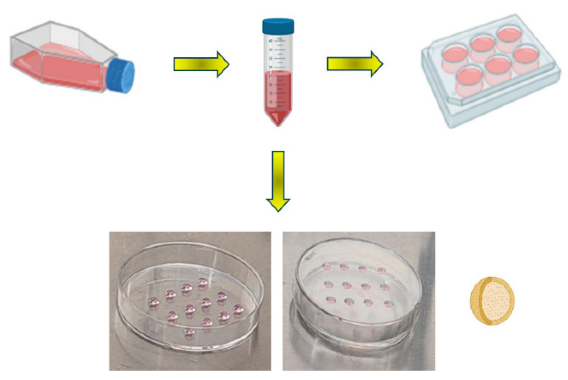 Preprints 103829 g001