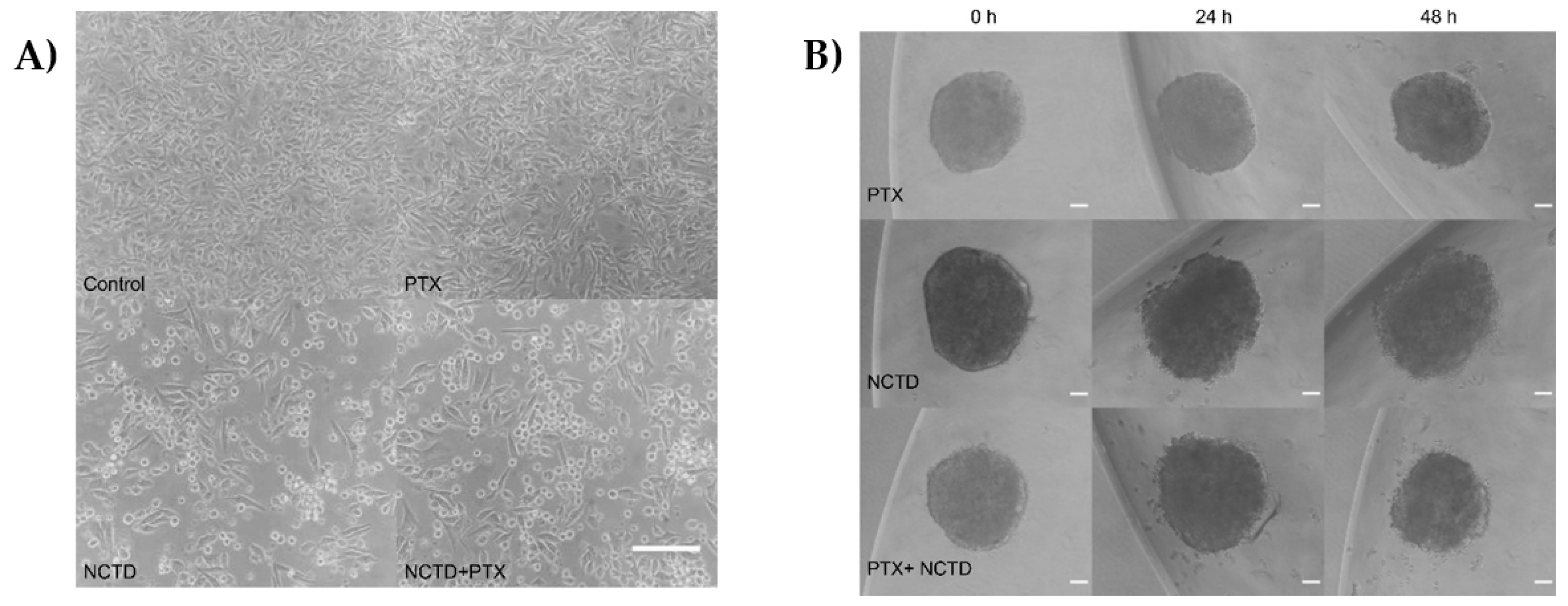 Preprints 103829 g002