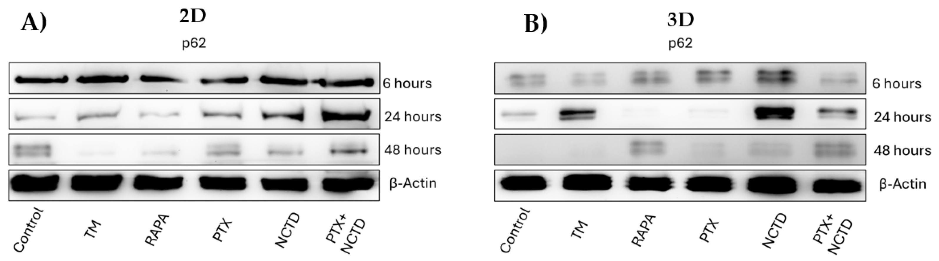 Preprints 103829 g003a