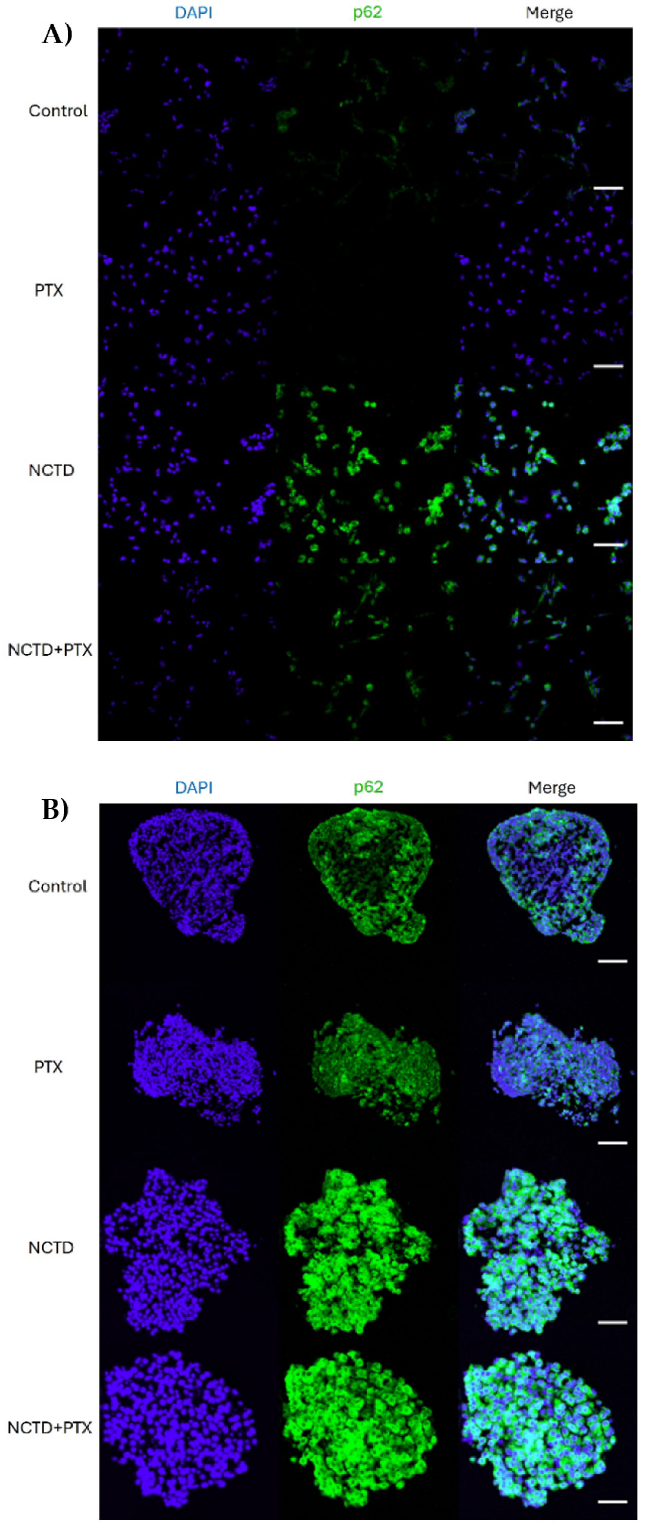 Preprints 103829 g004