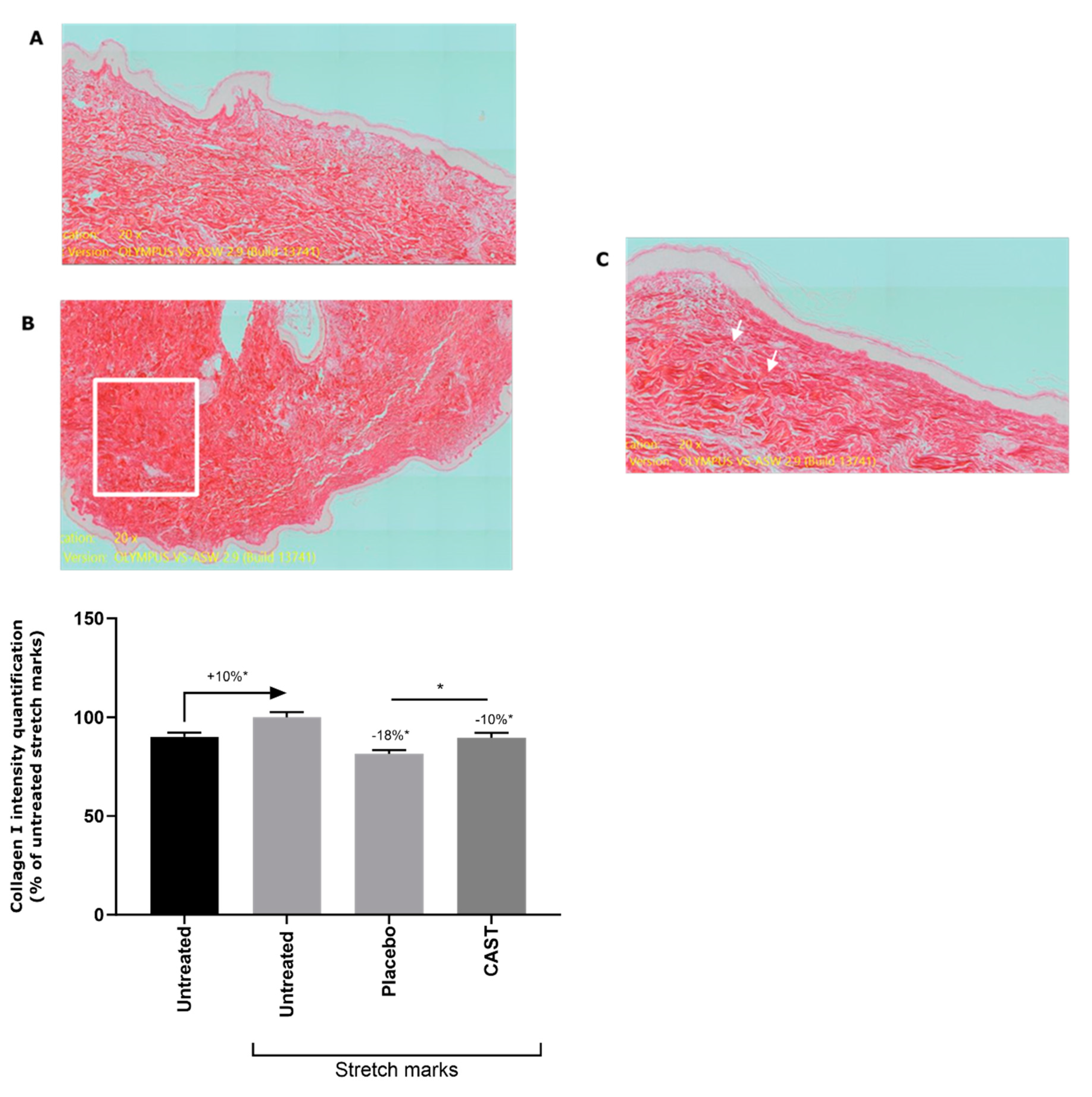 Preprints 92403 g002