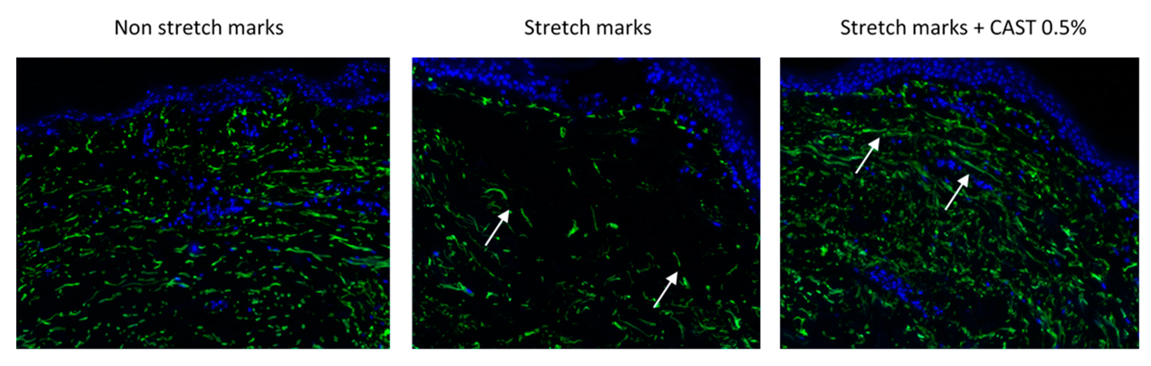 Preprints 92403 g002a