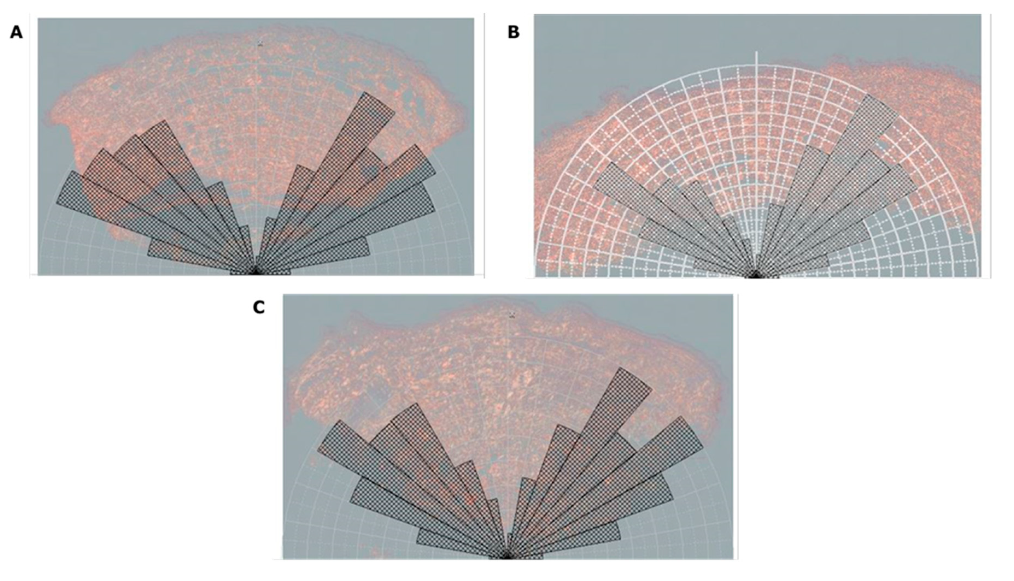 Preprints 92403 g004