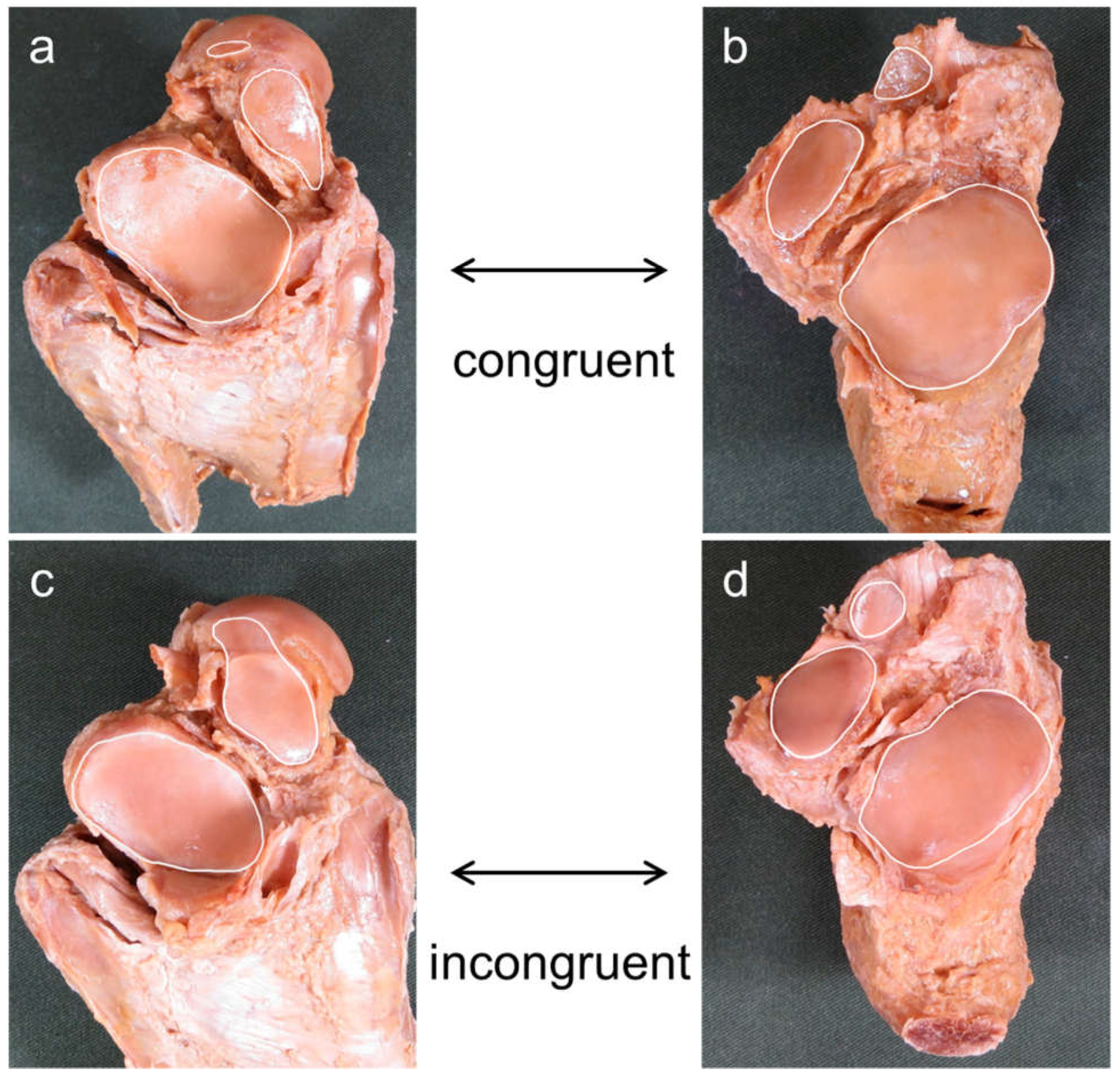 Preprints 67159 g002