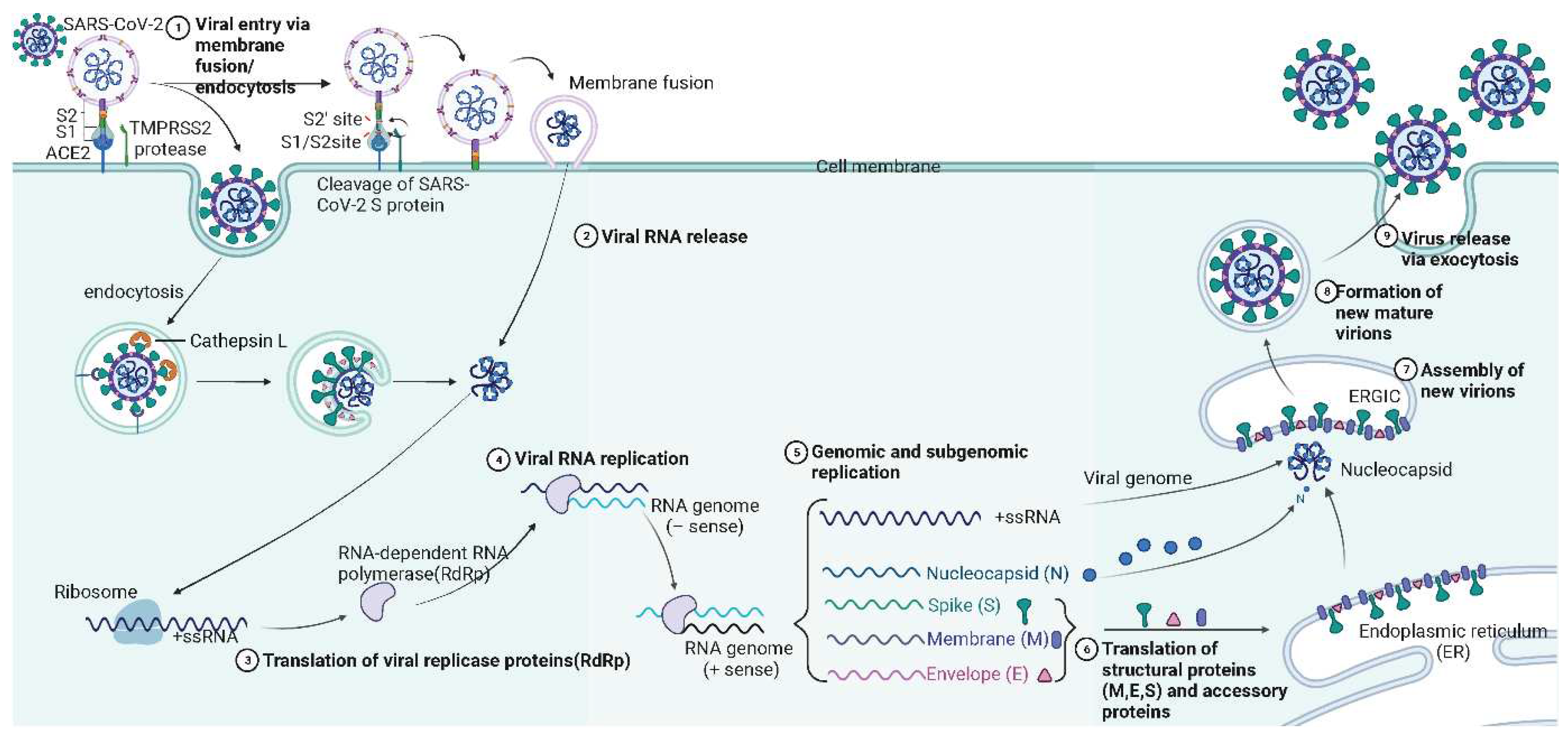 Preprints 97174 g003