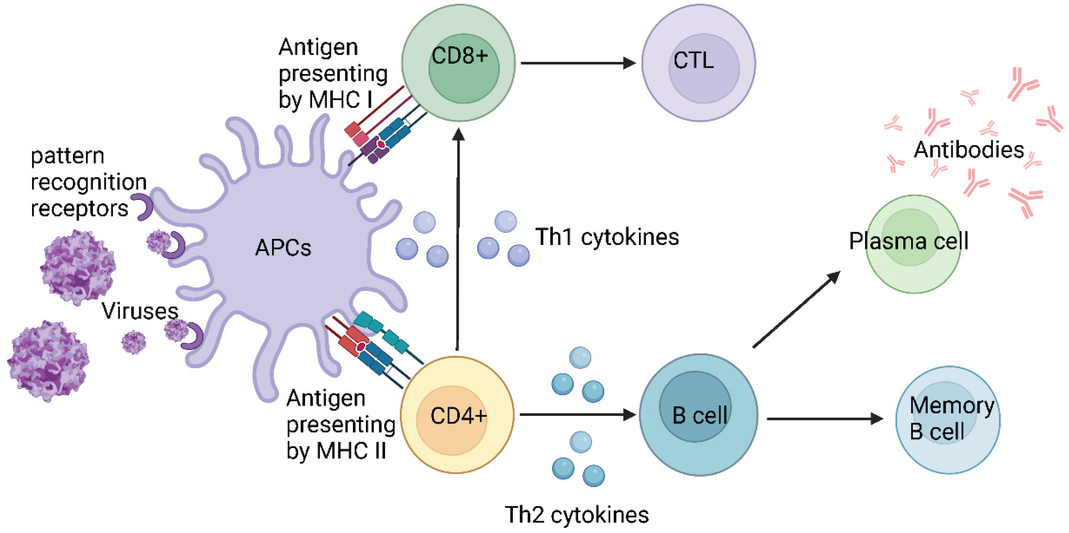 Preprints 97174 g004