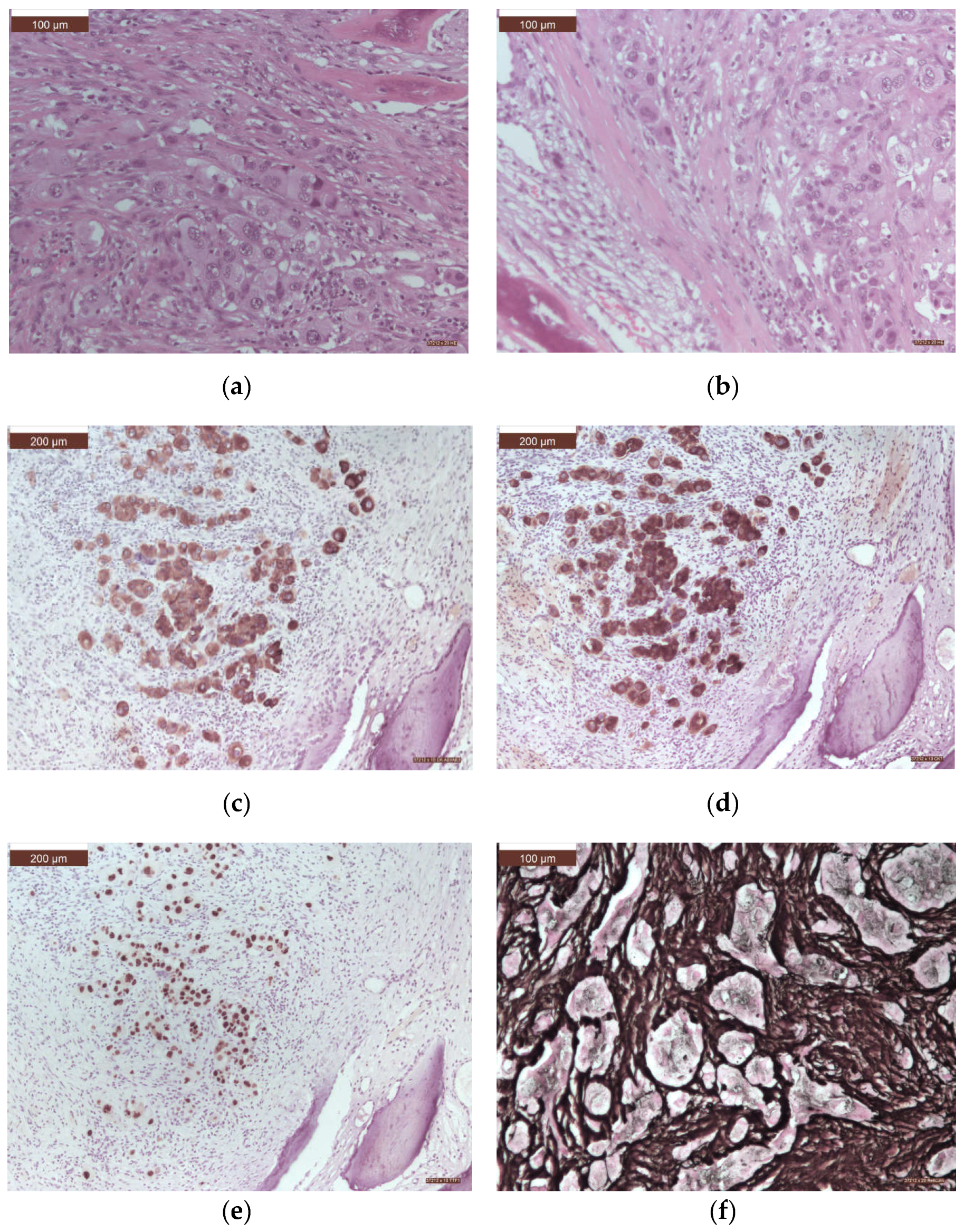 Preprints 109255 g006