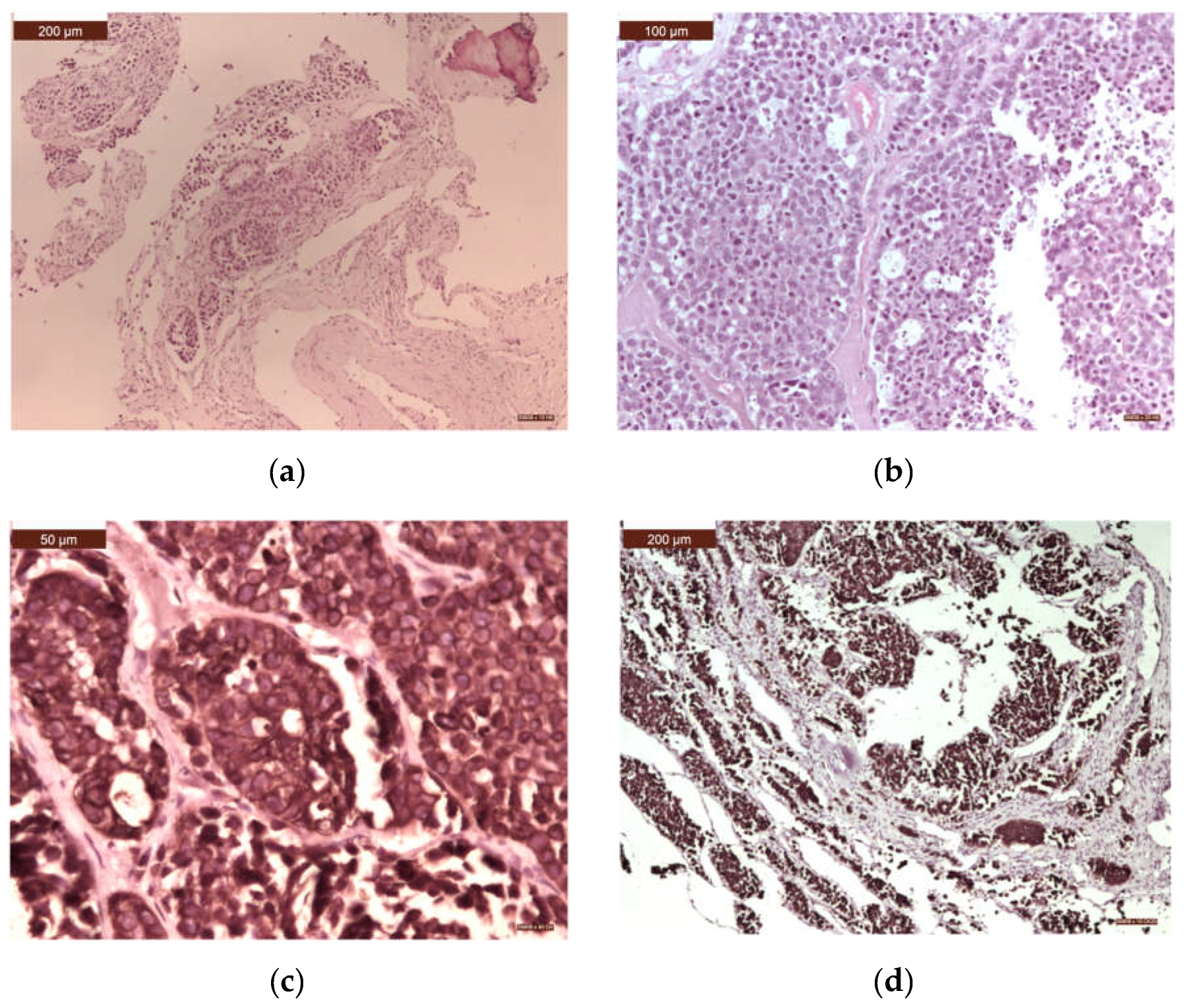 Preprints 109255 g007a