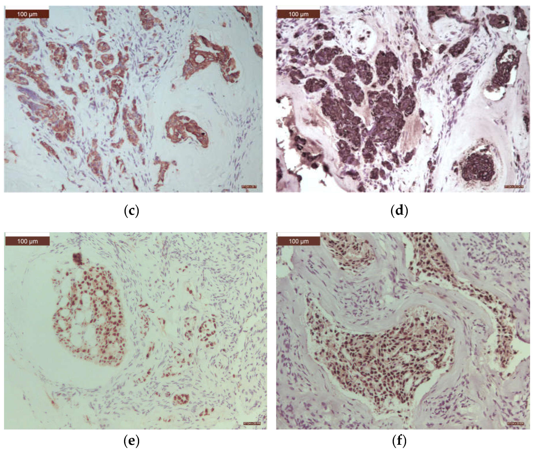 Preprints 109255 g008b