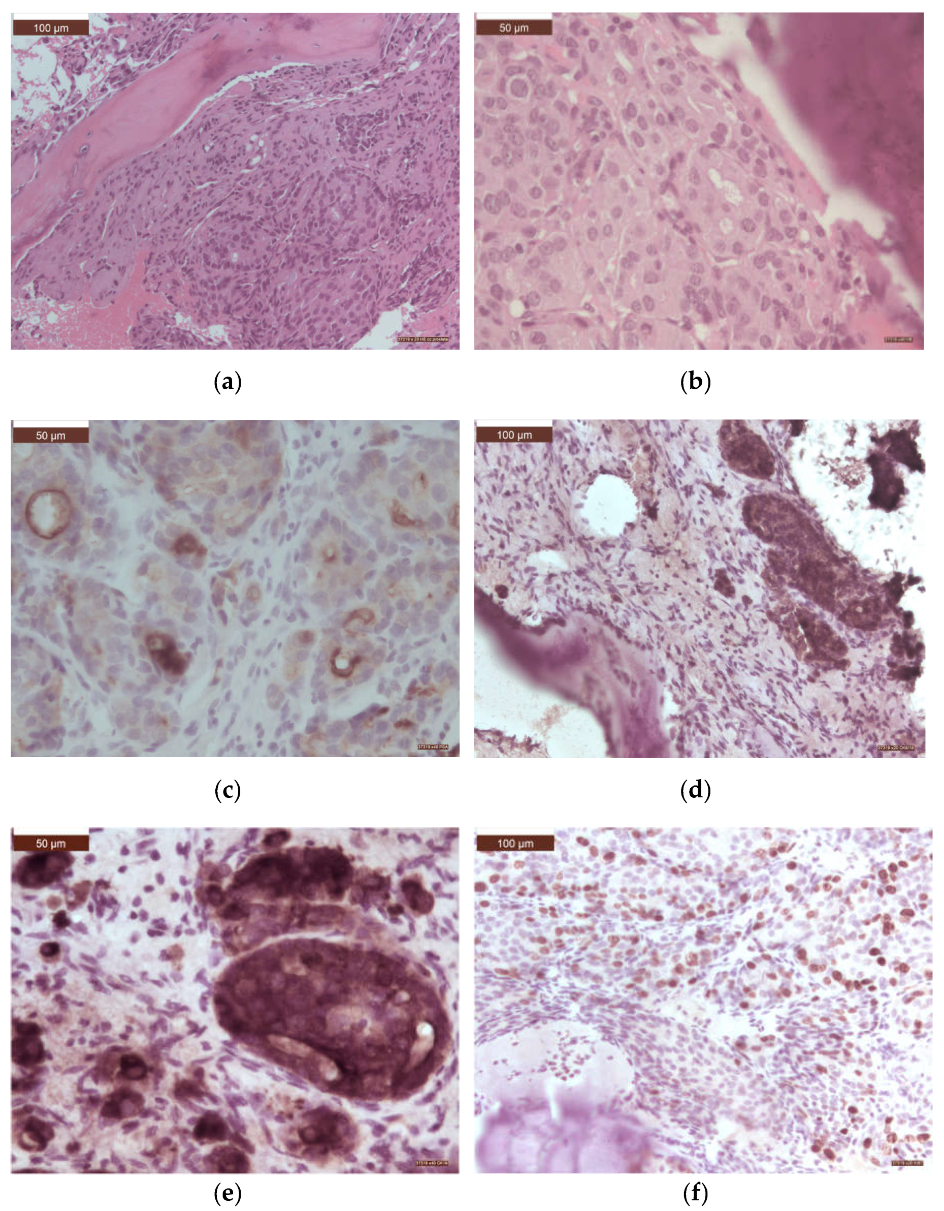 Preprints 109255 g009