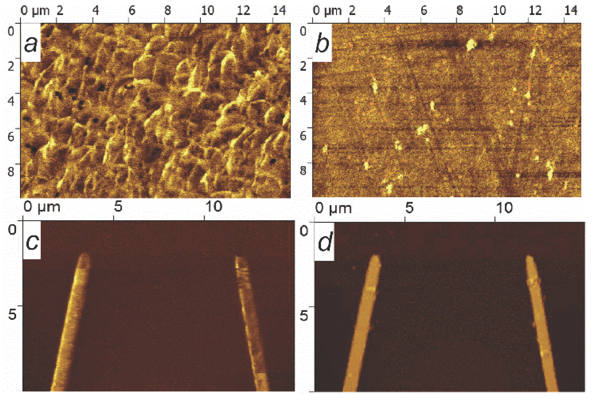 Preprints 92181 g008