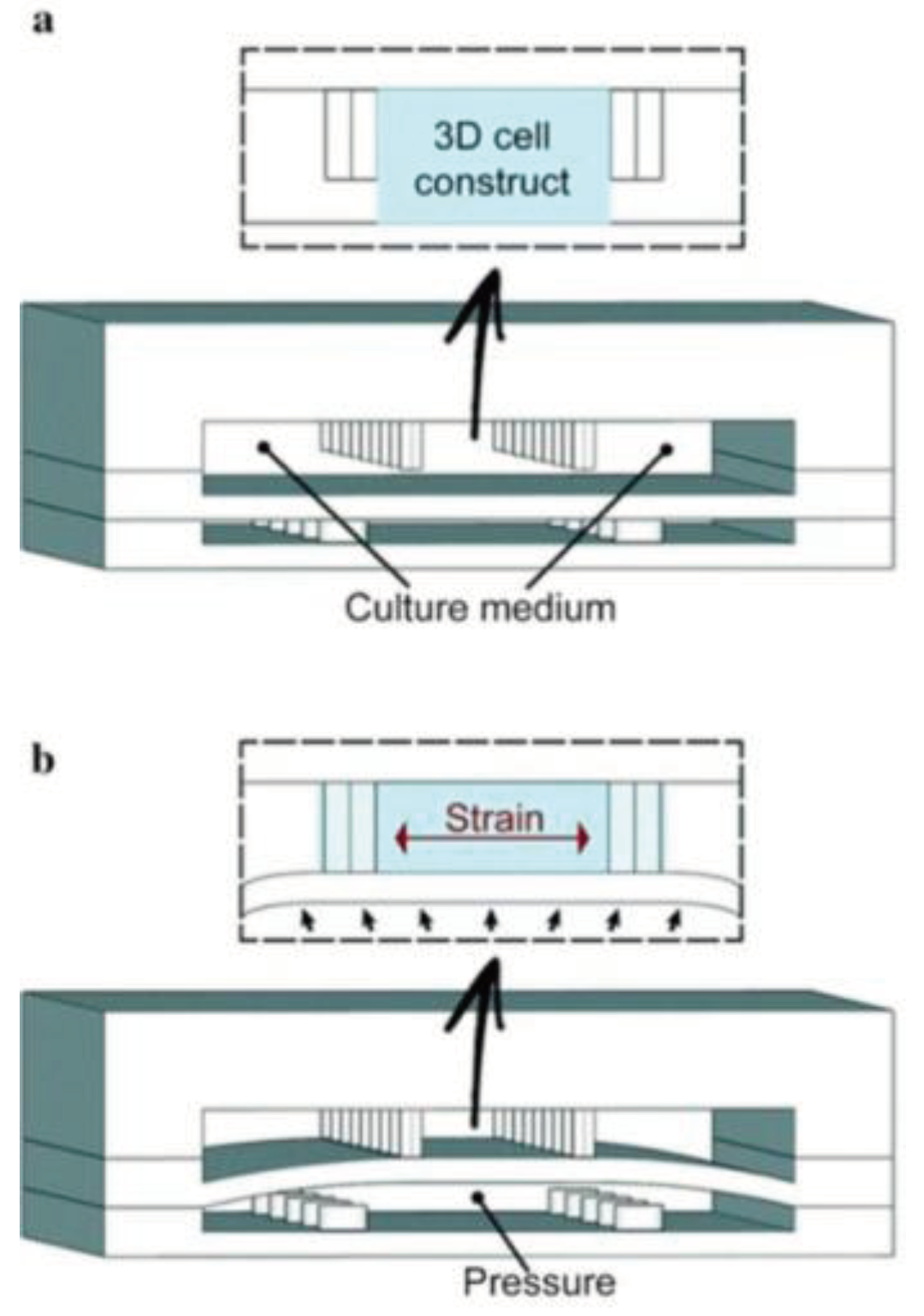 Preprints 101474 g004