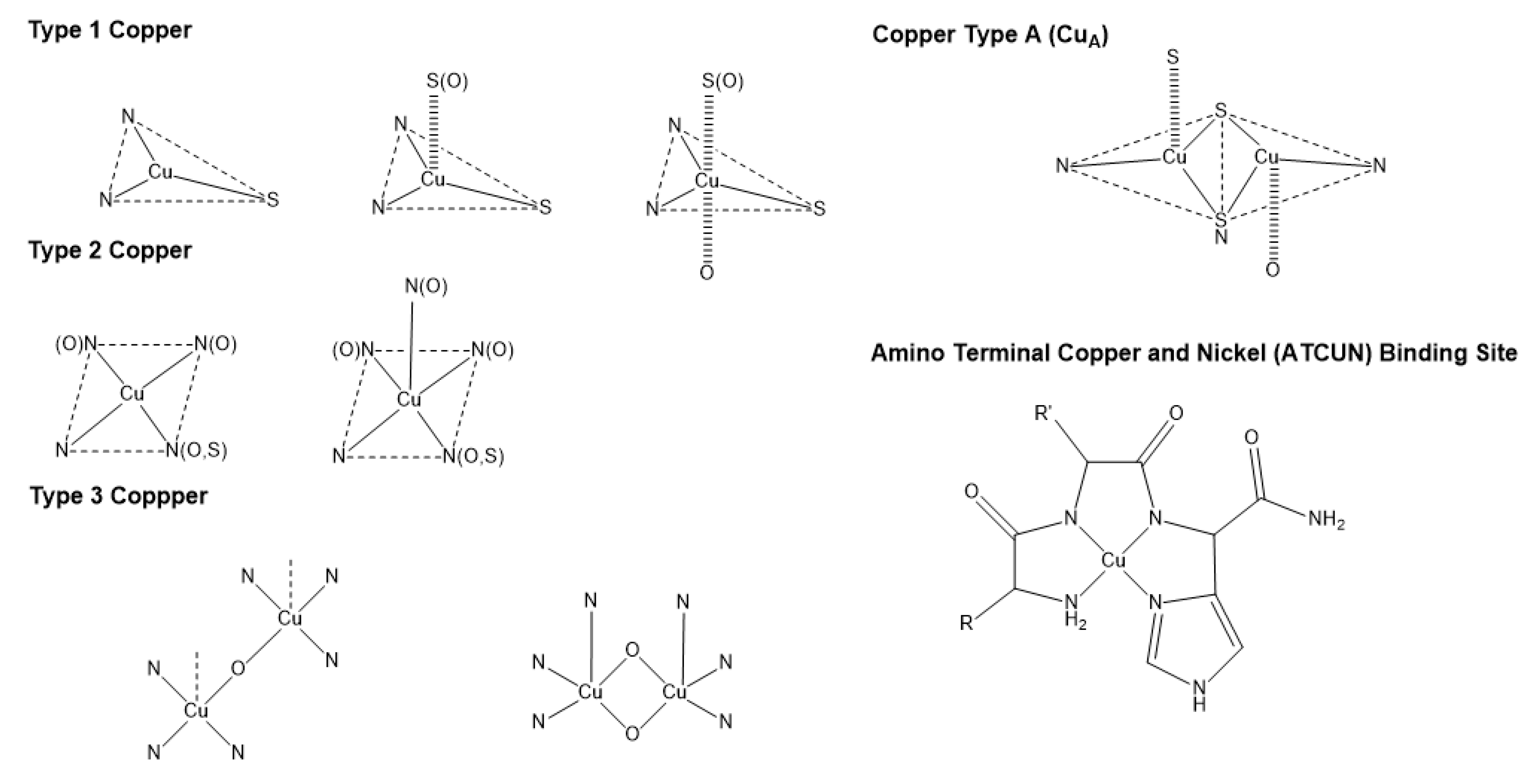 Preprints 72107 g001