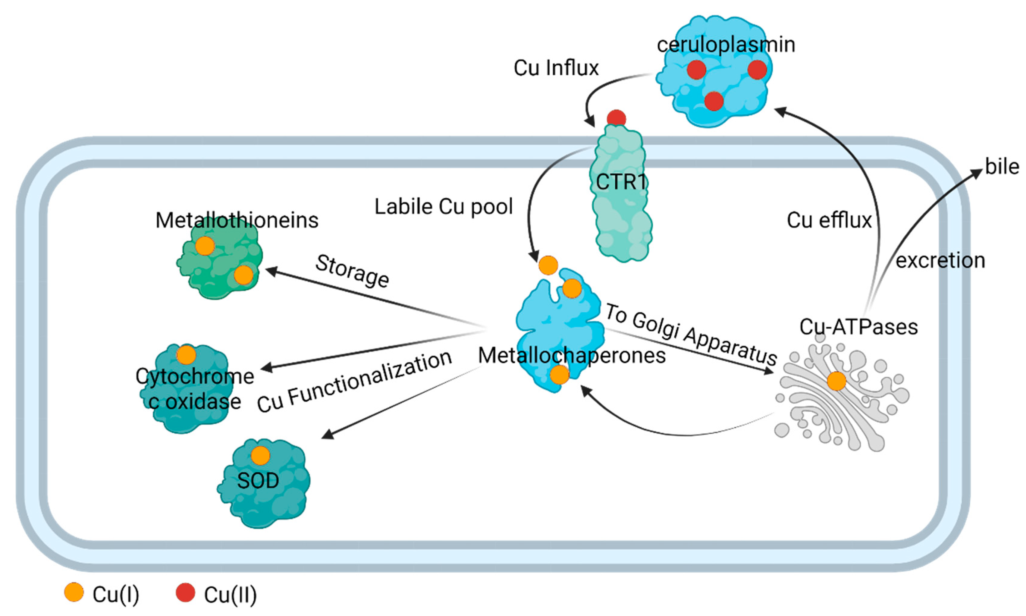 Preprints 72107 g002