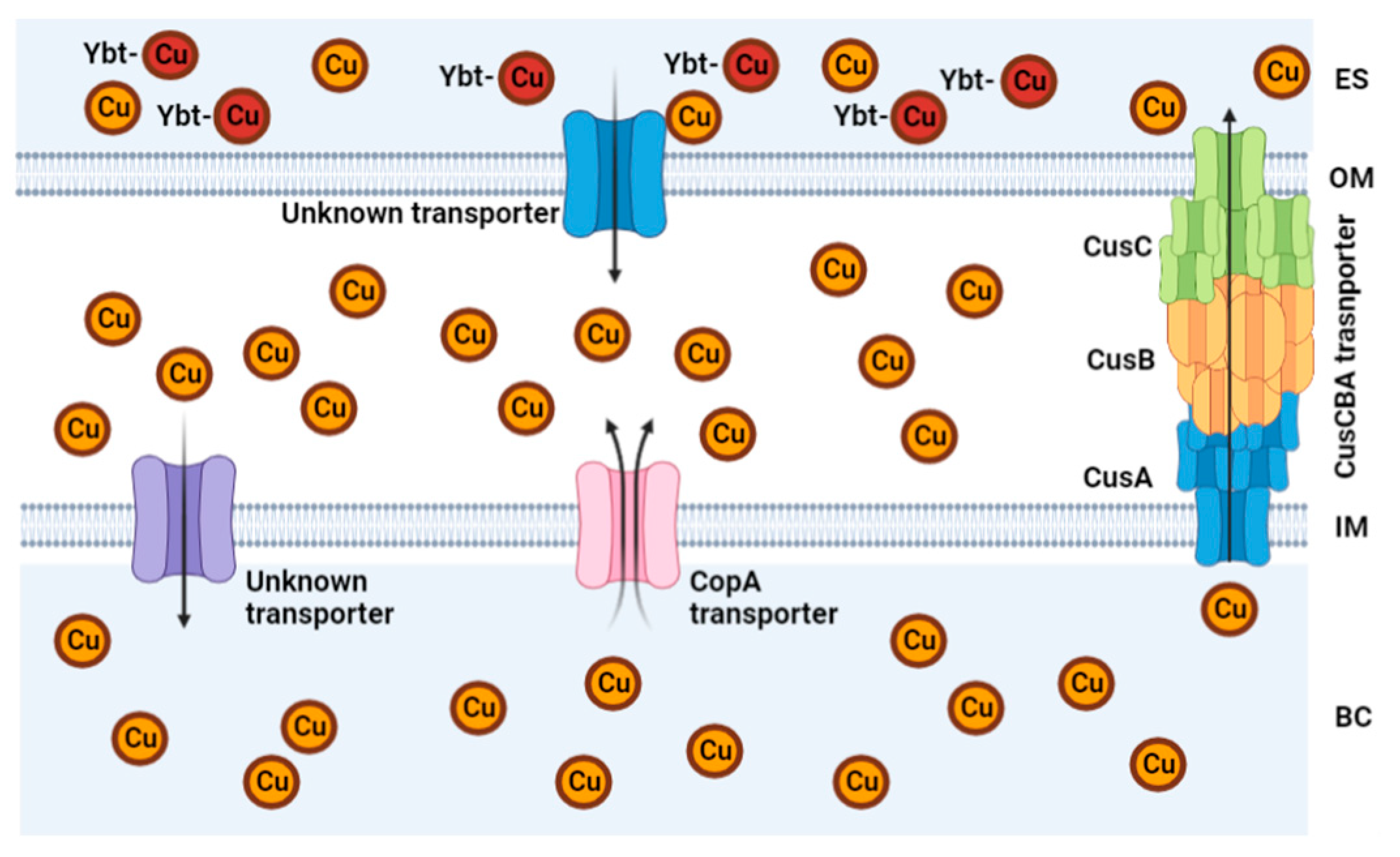 Preprints 72107 g004