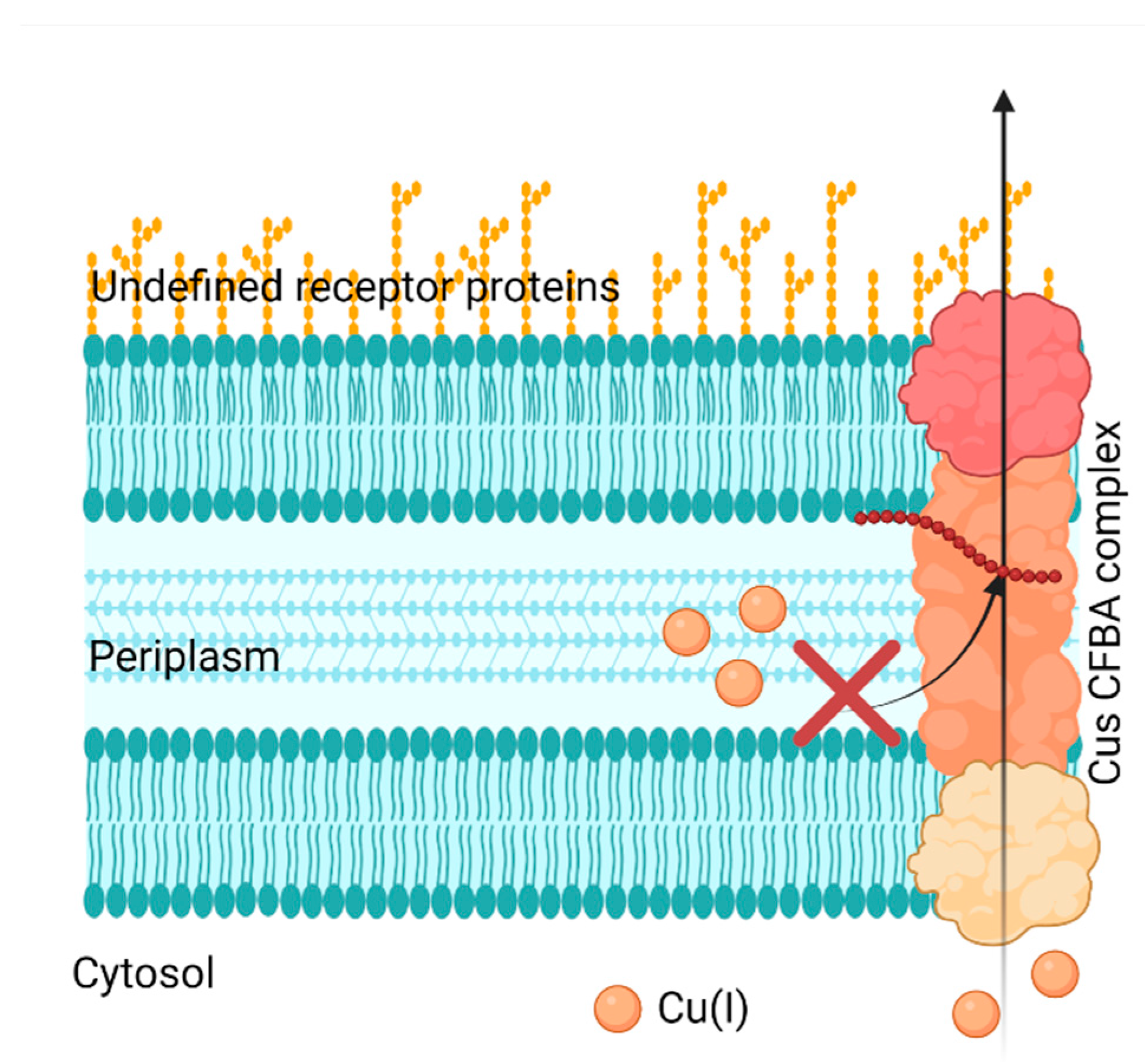 Preprints 72107 g005