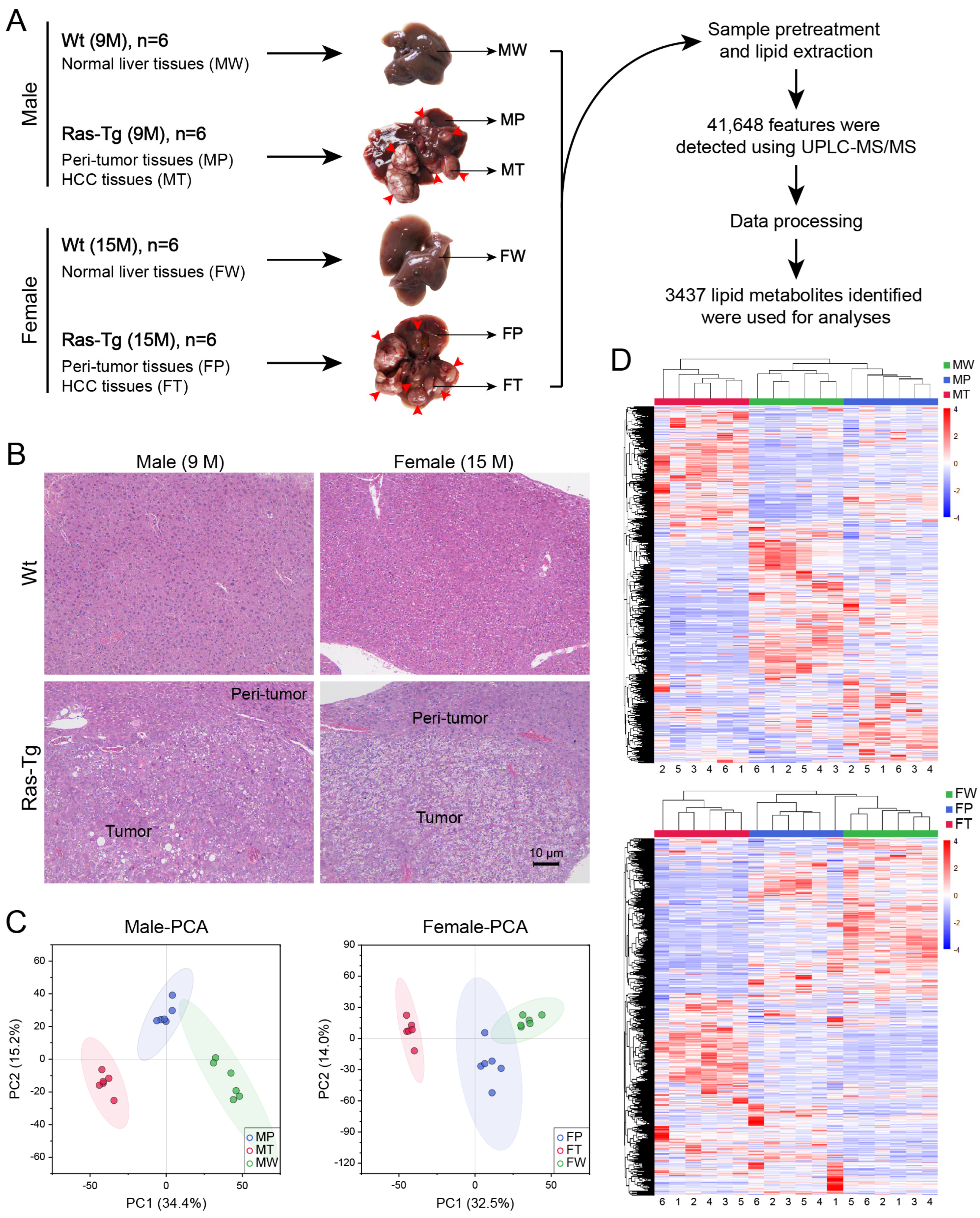 Preprints 91065 g001