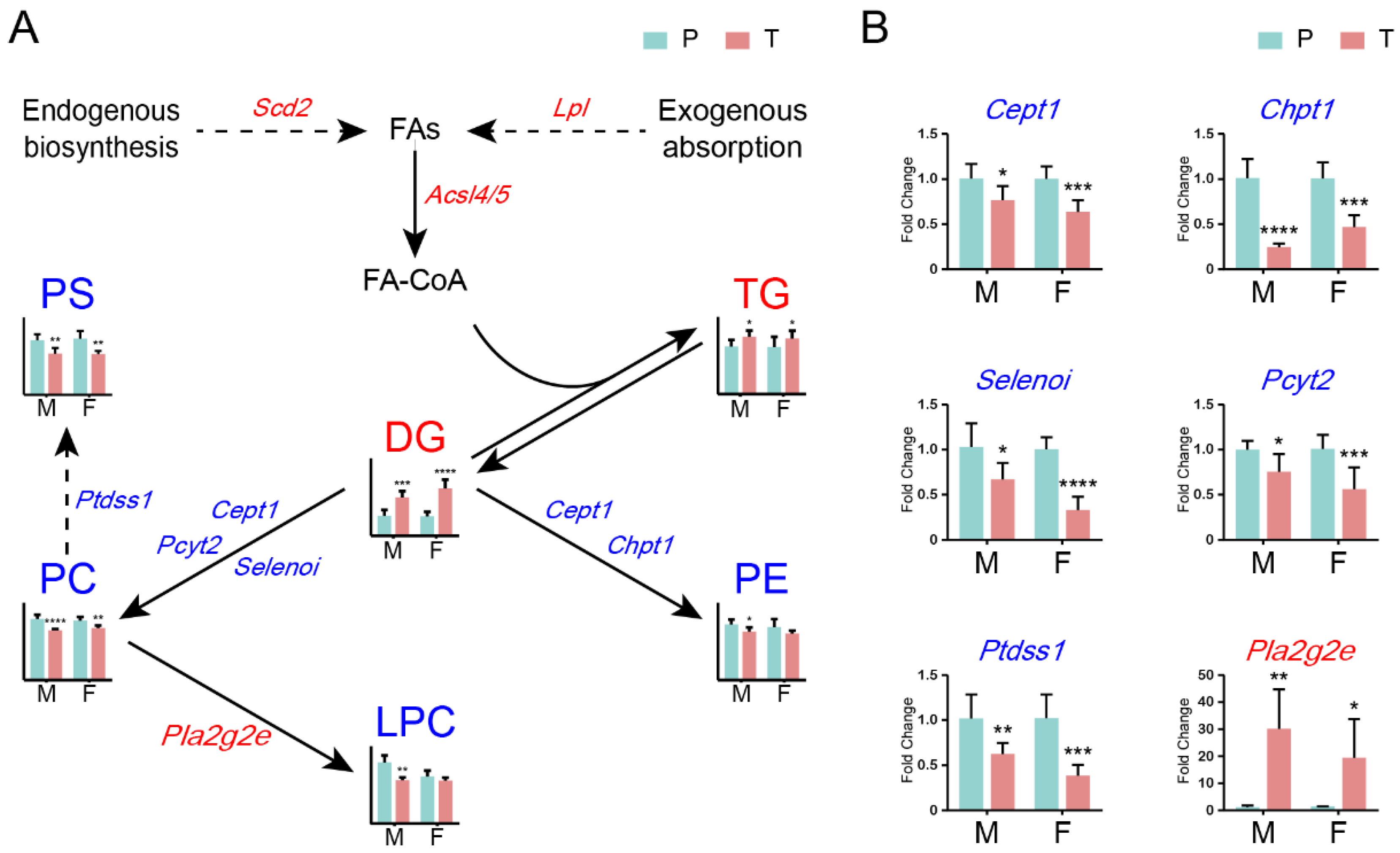 Preprints 91065 g006