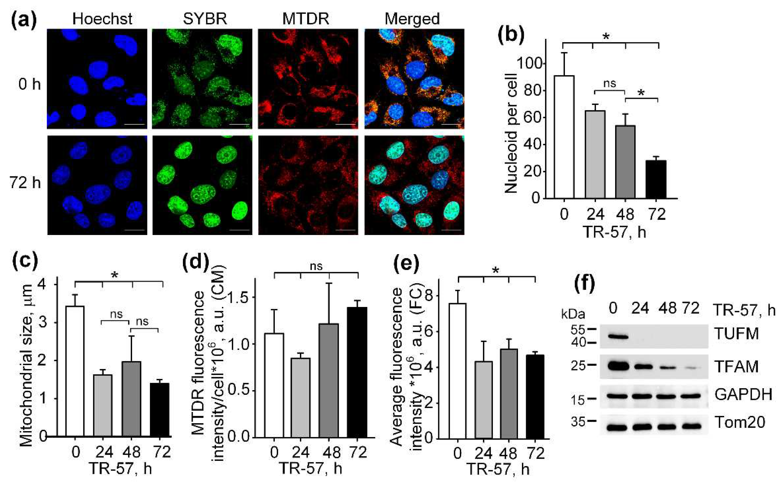 Preprints 92275 g001