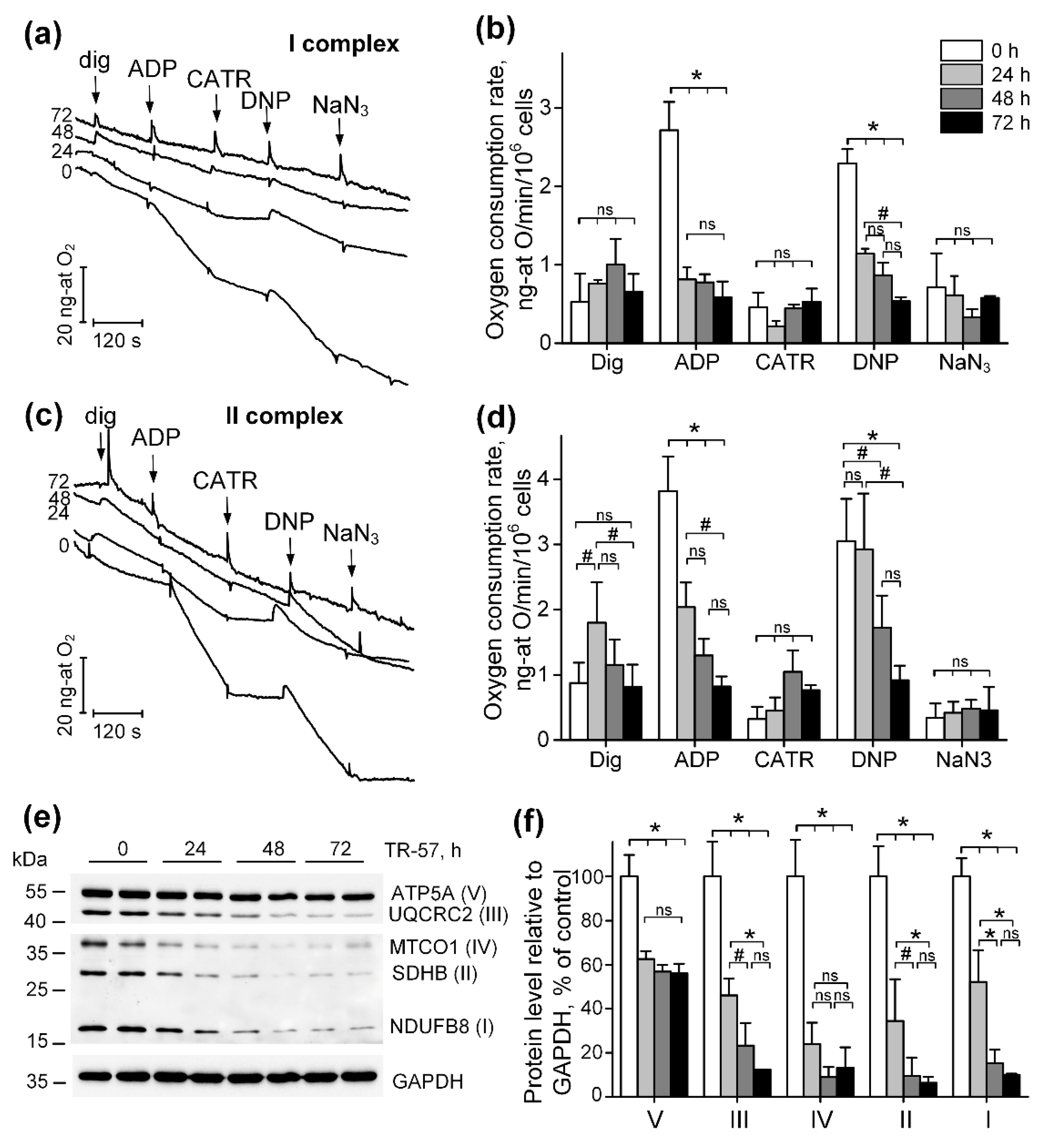 Preprints 92275 g002