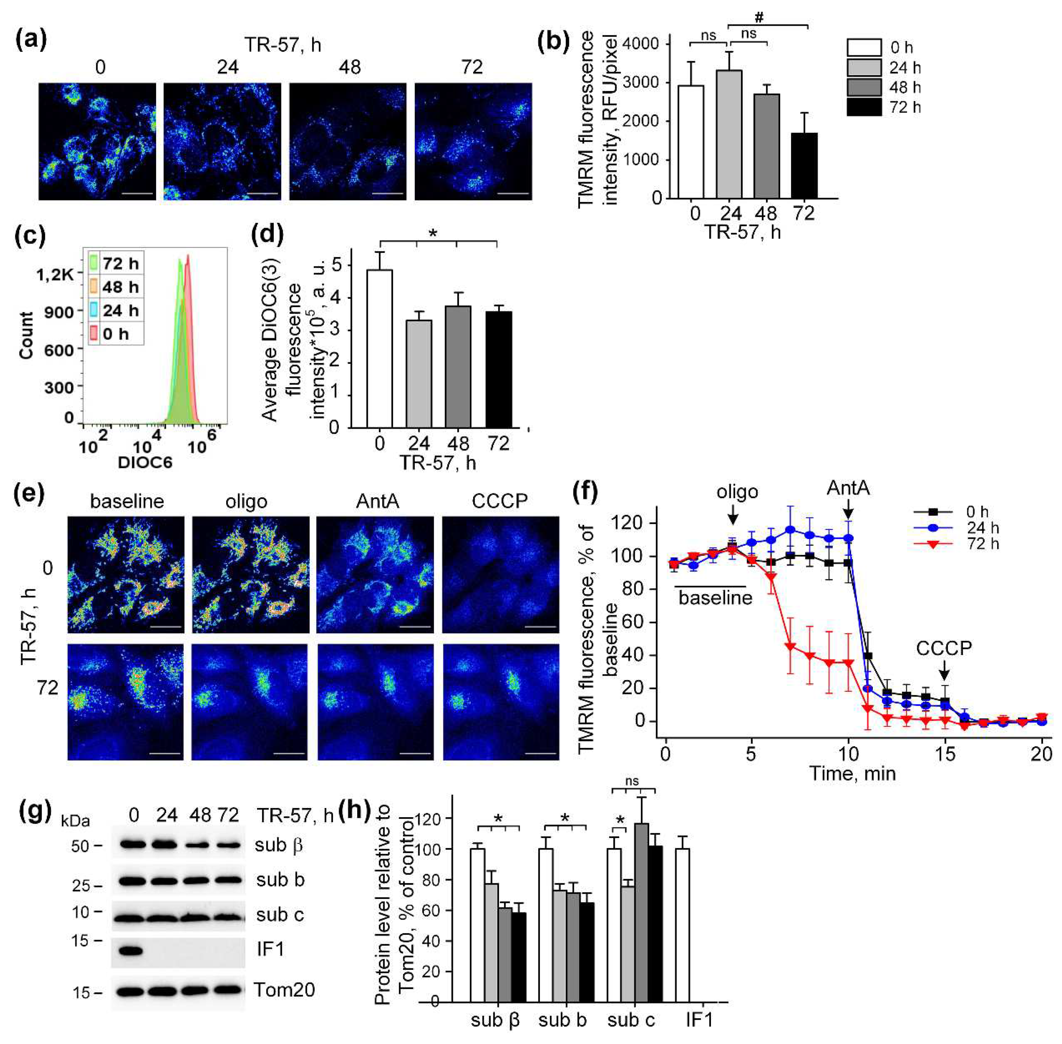 Preprints 92275 g003