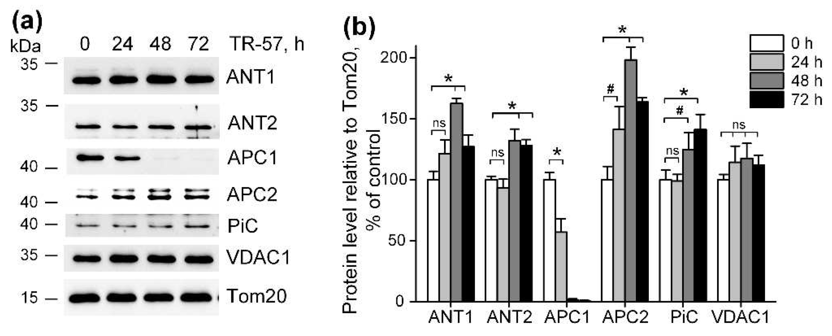 Preprints 92275 g004